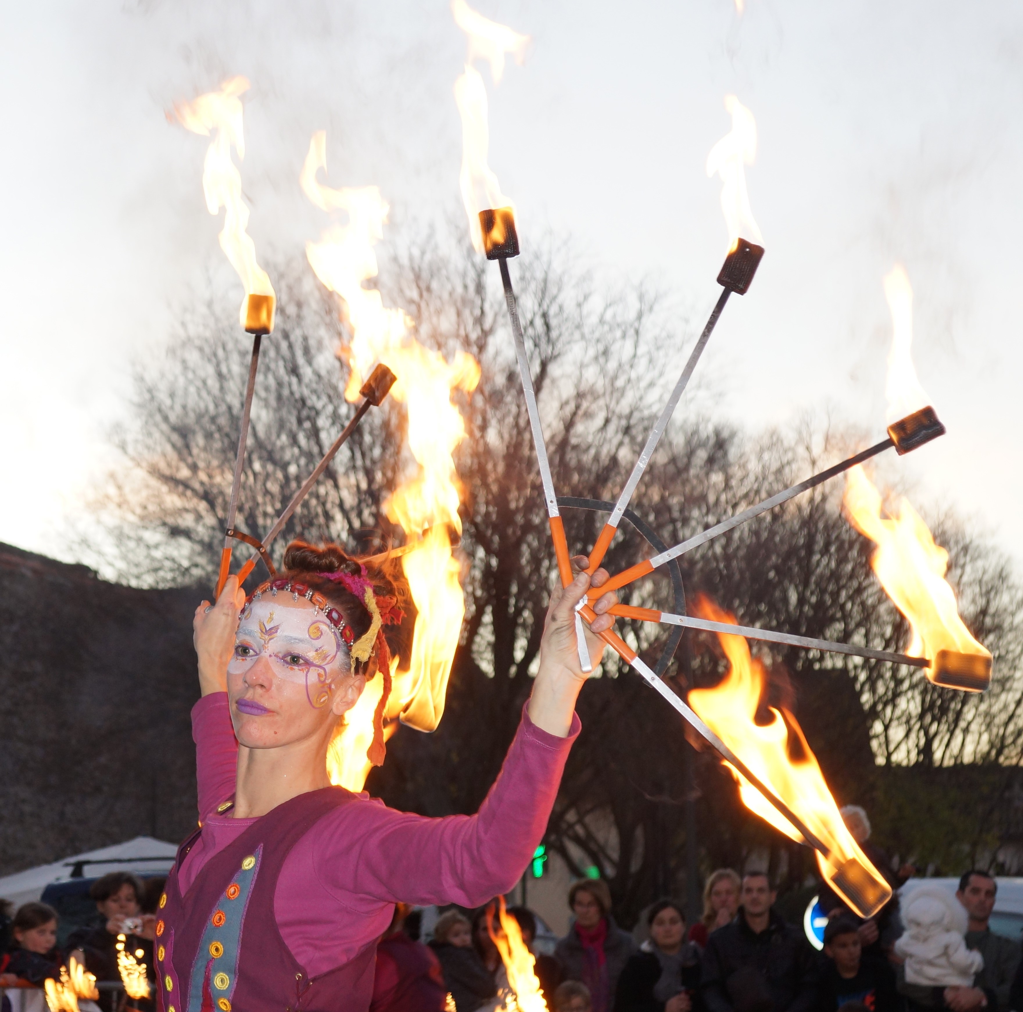 2023 11 30 Oiseau de feu _3_.jpg