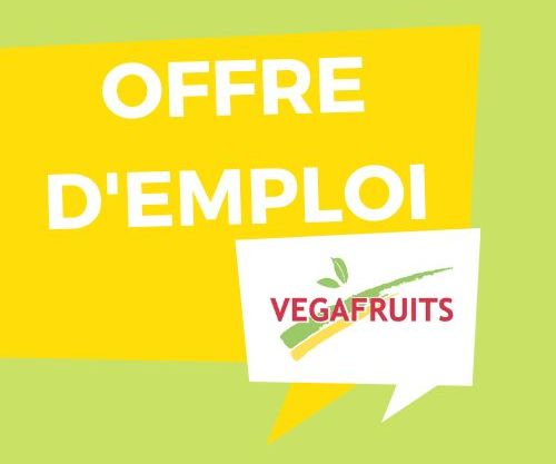 2022 08 15 VEGA OFFRE EMPLOI