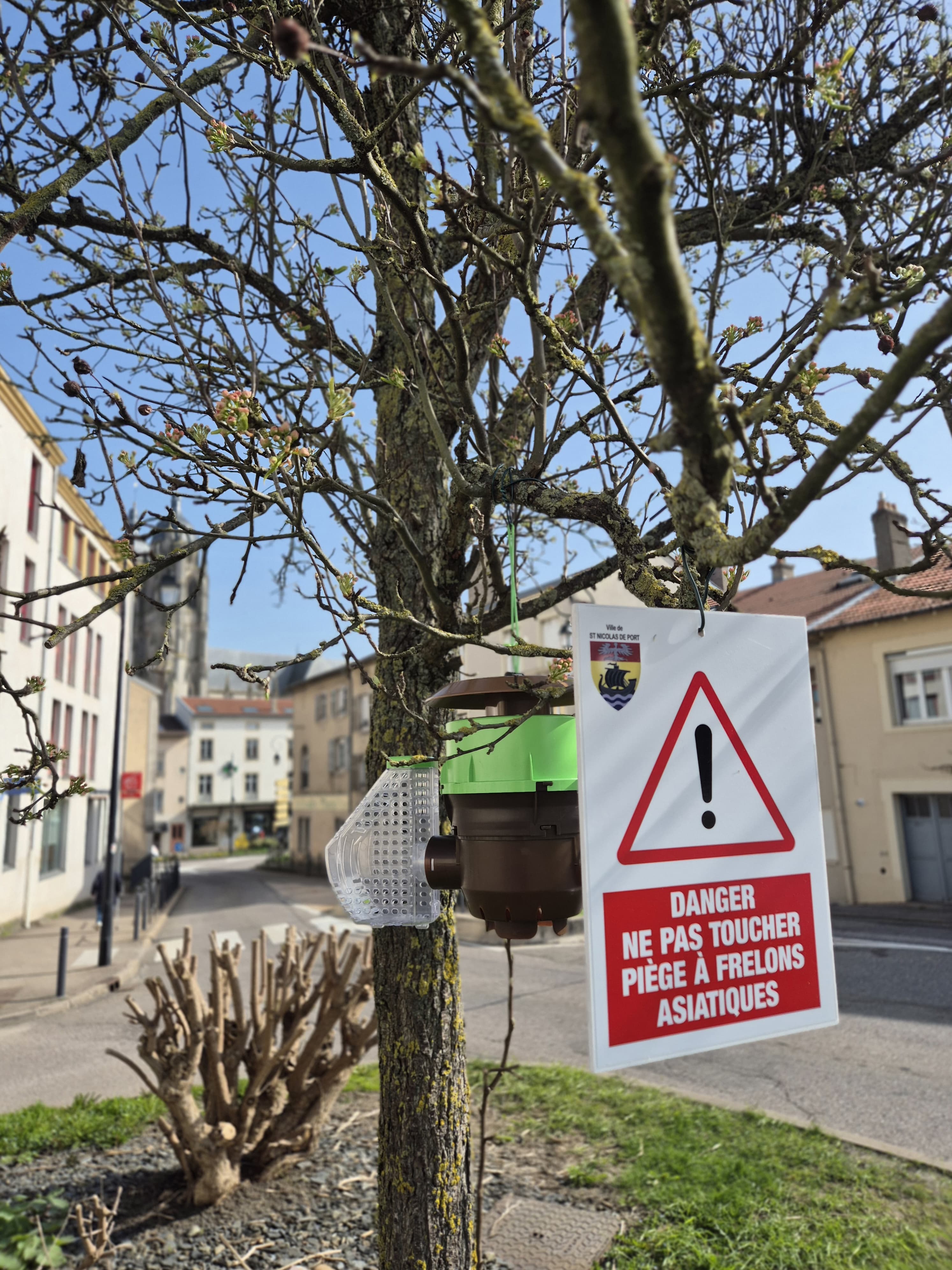 2026 03 27 FRELONS.jpg