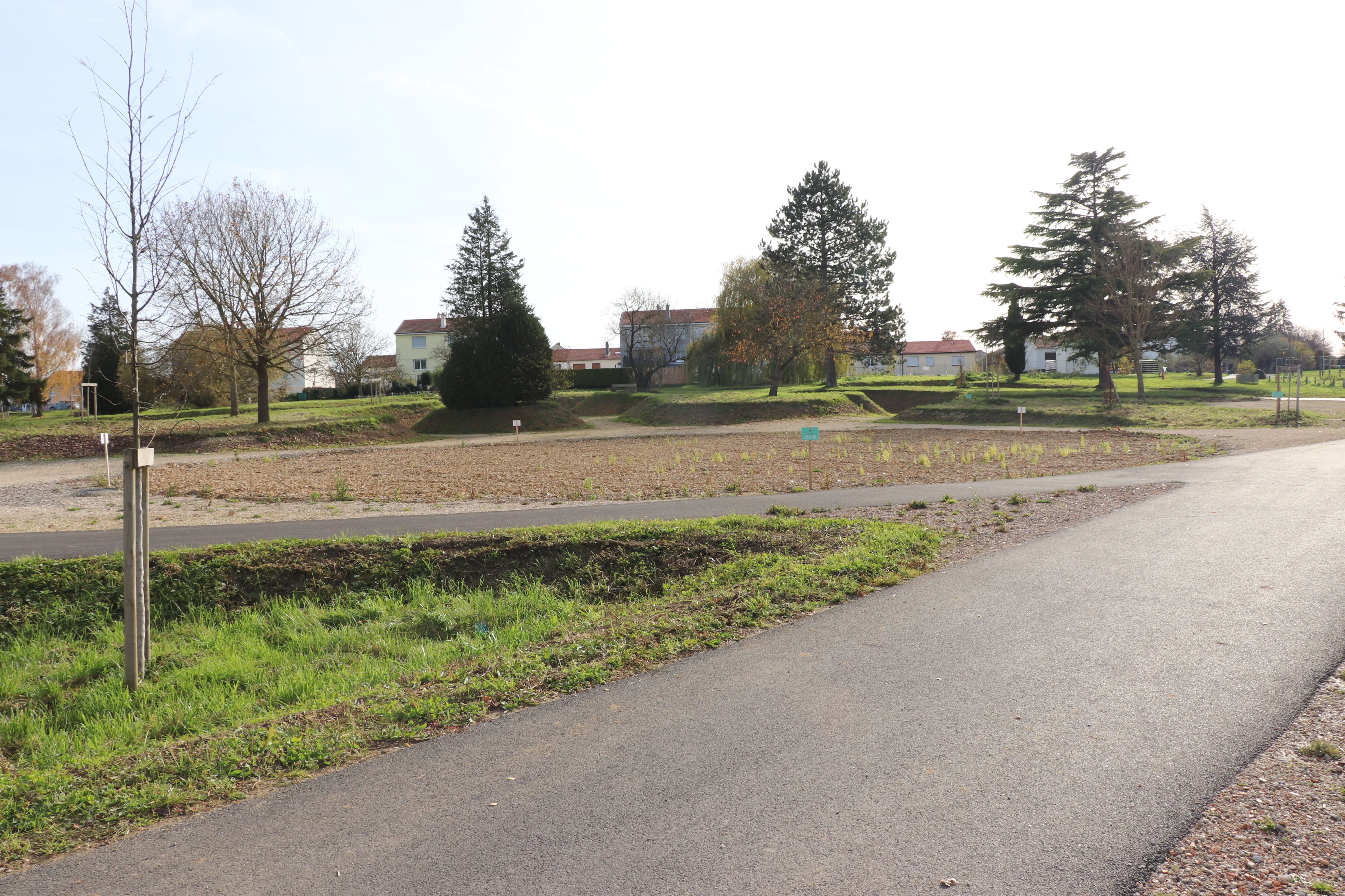 2025 11 14 arboretum _2_.jpg