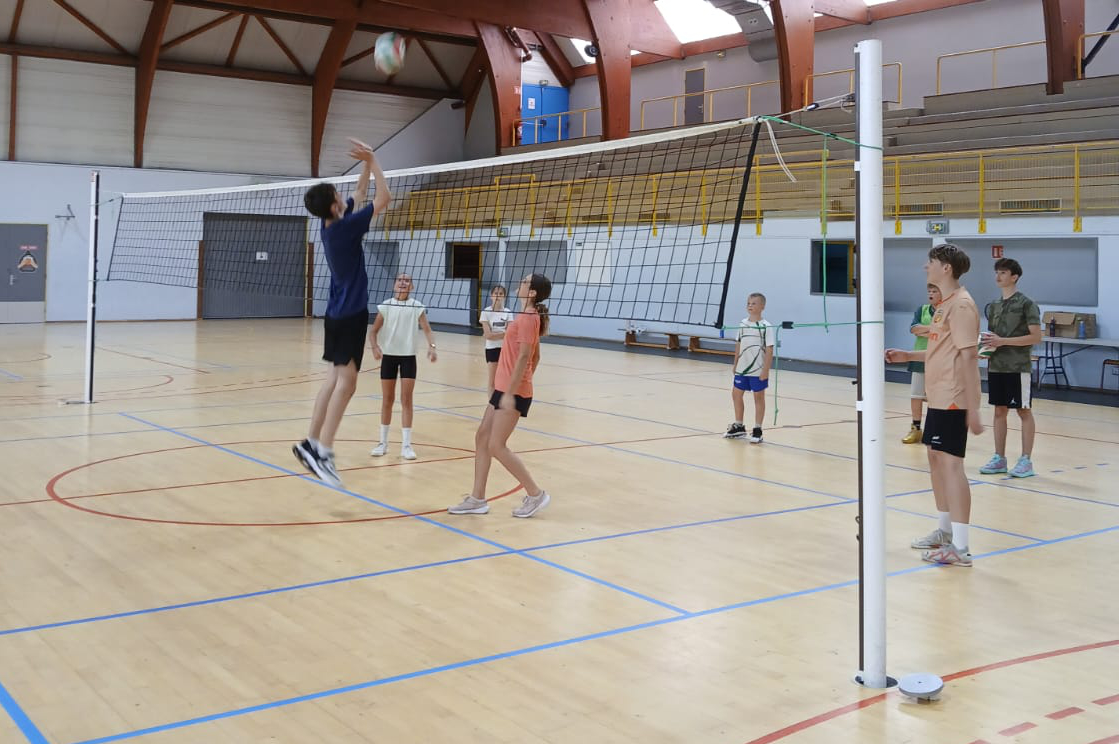 2025 07 18 VACS SPORTOISES 4.jpg