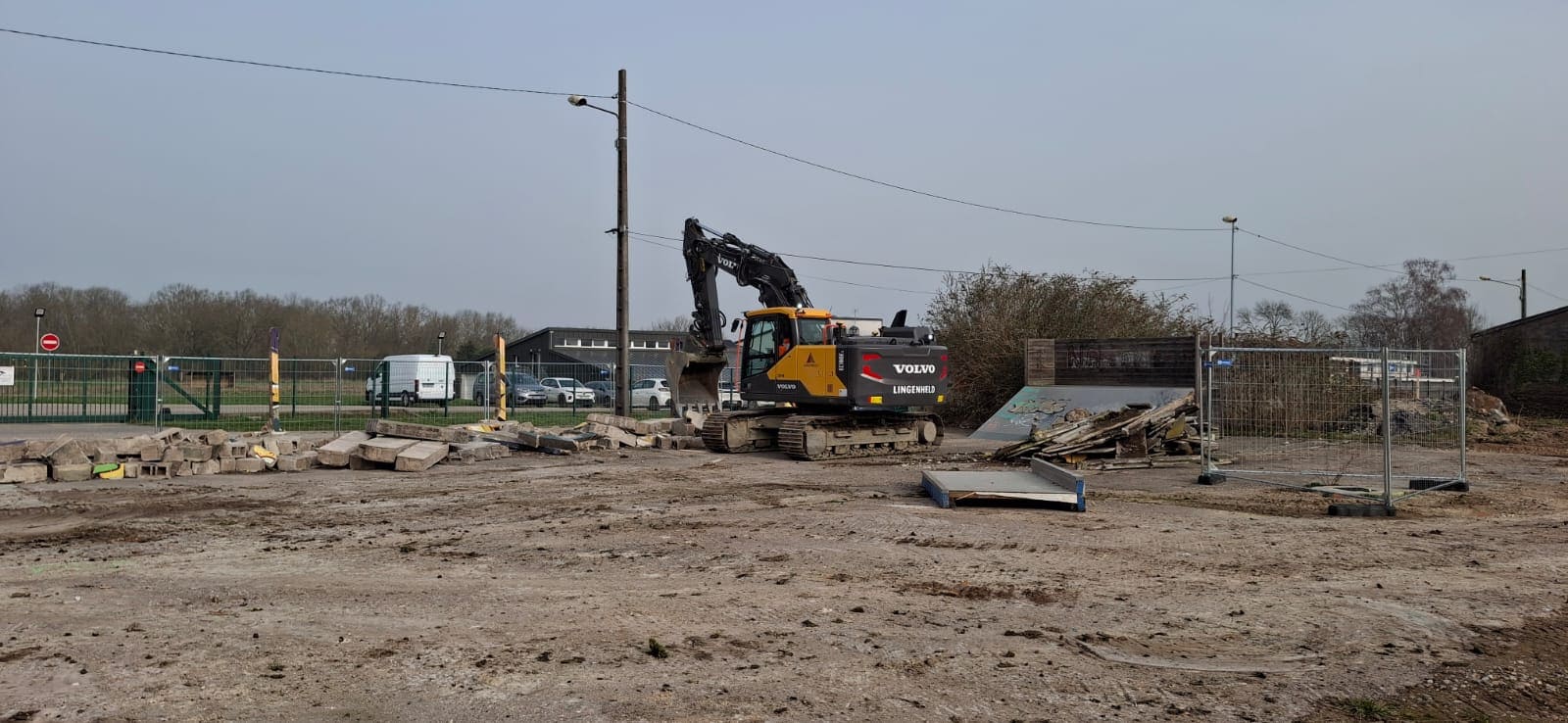 2026 03 11 arboretum.jpg