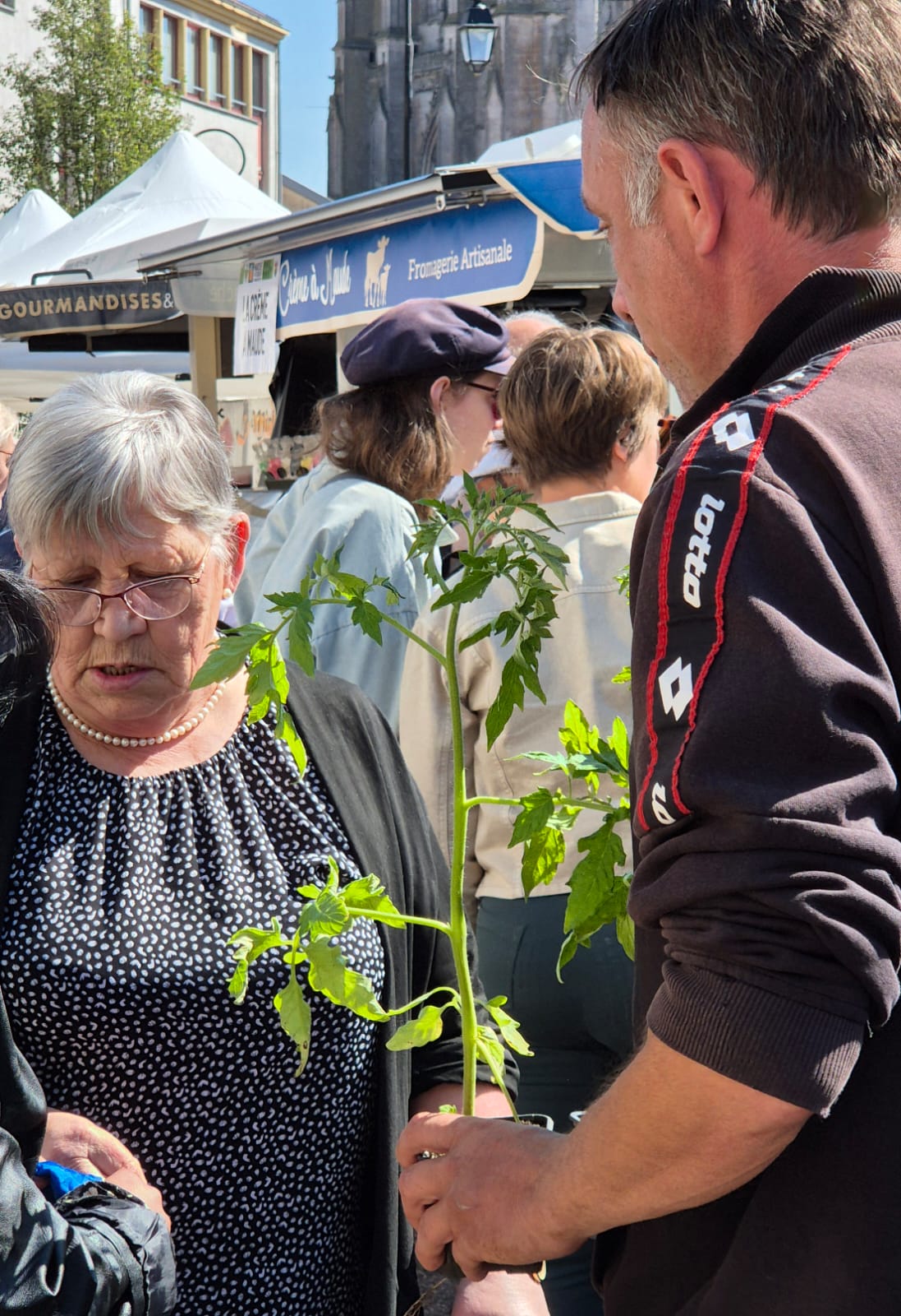 2025 05 10 MARCHE DU TERROIR _16_.jpg