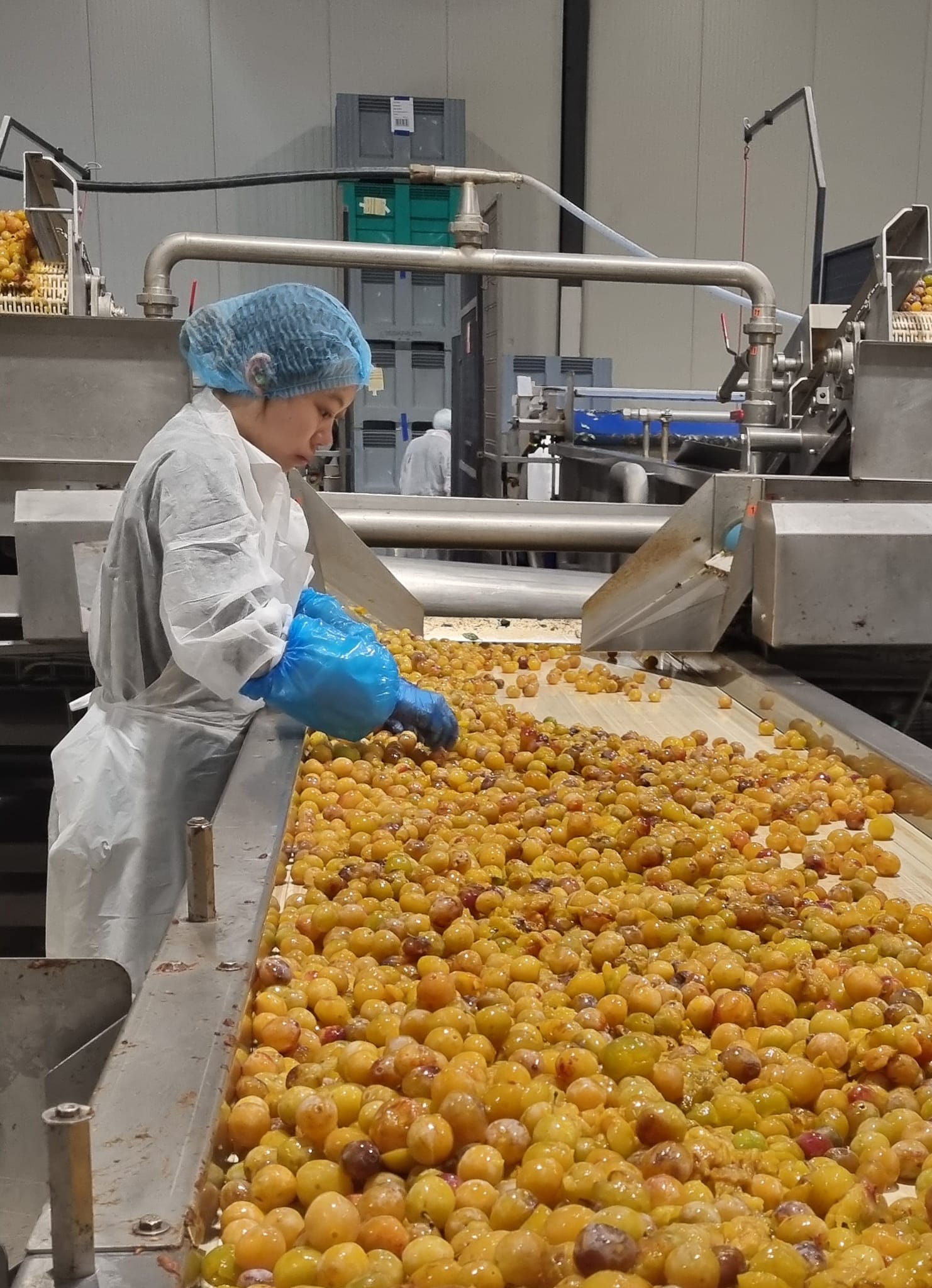 2023 09 01 Visite préfète _1_.jpg