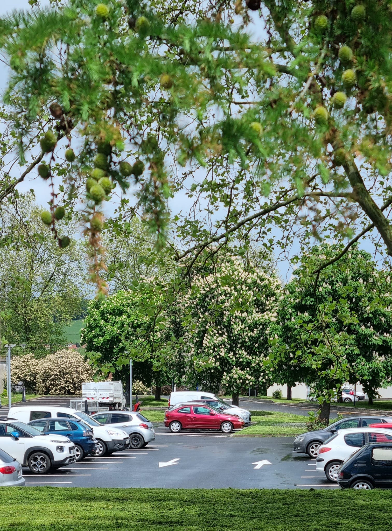 2023 05 11 Prignet 6.jpg