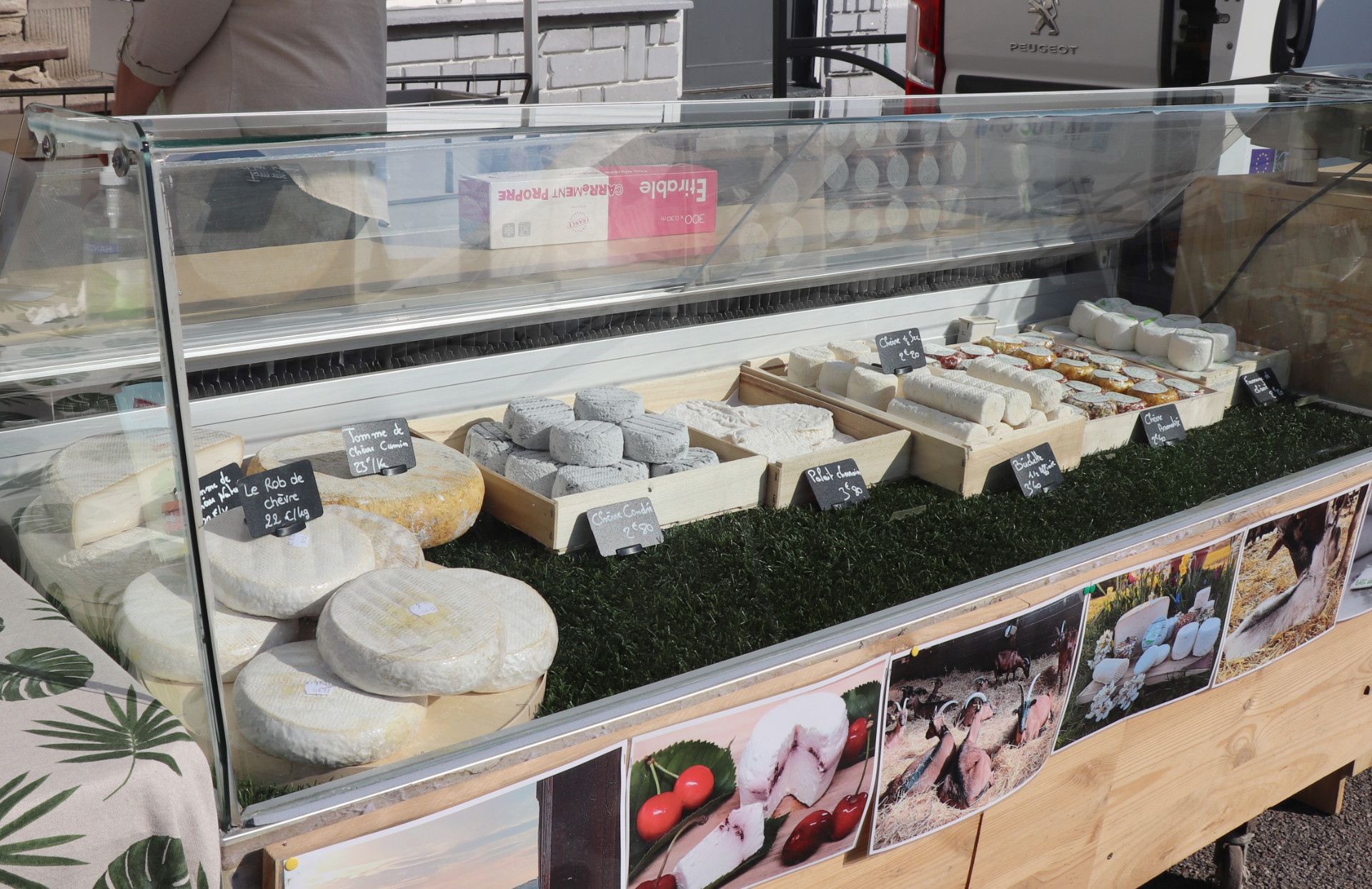 2023 06 10 MT BIS _1_.jpg