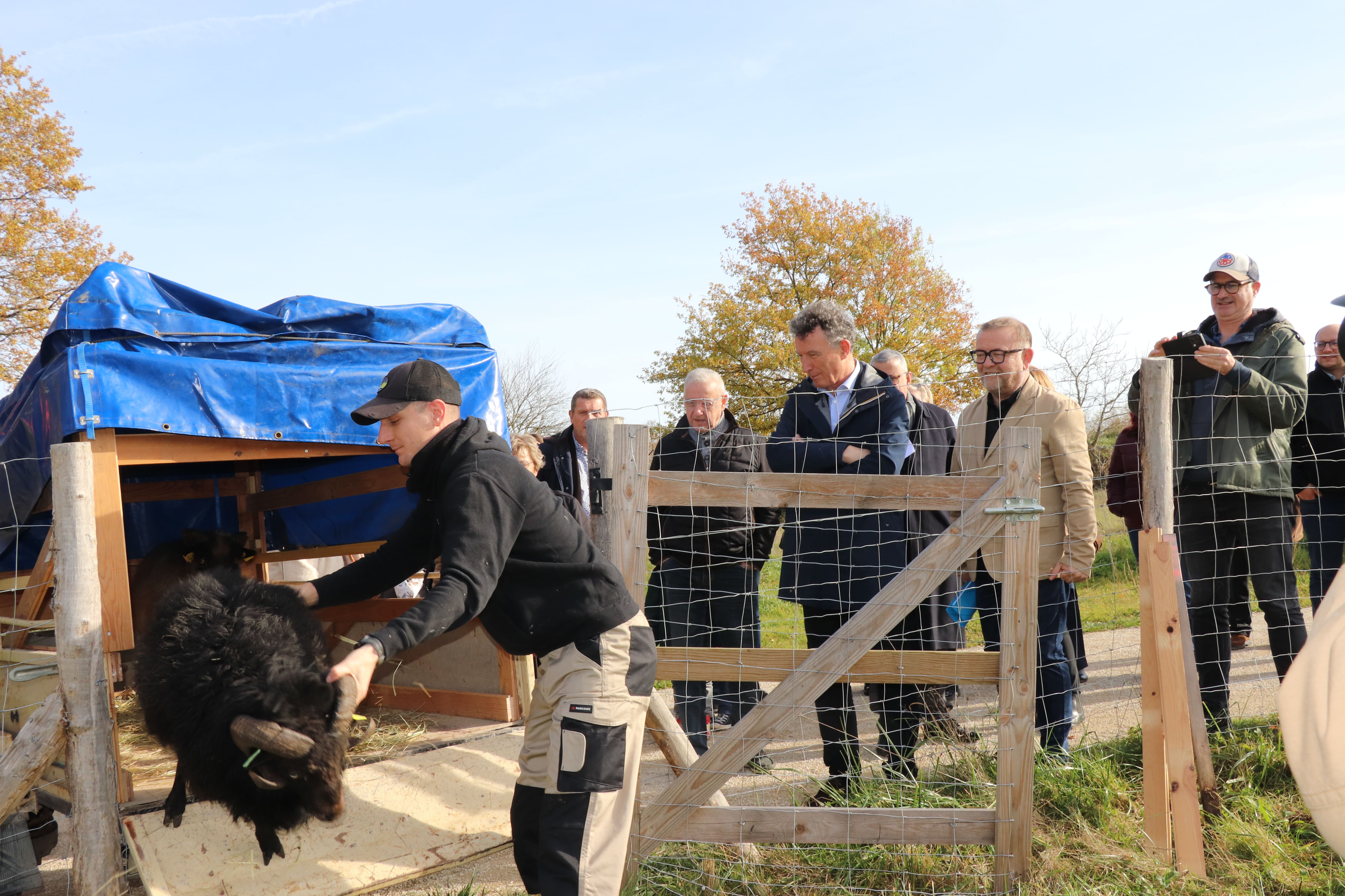 2025 11 14 arboretum _4_.jpg