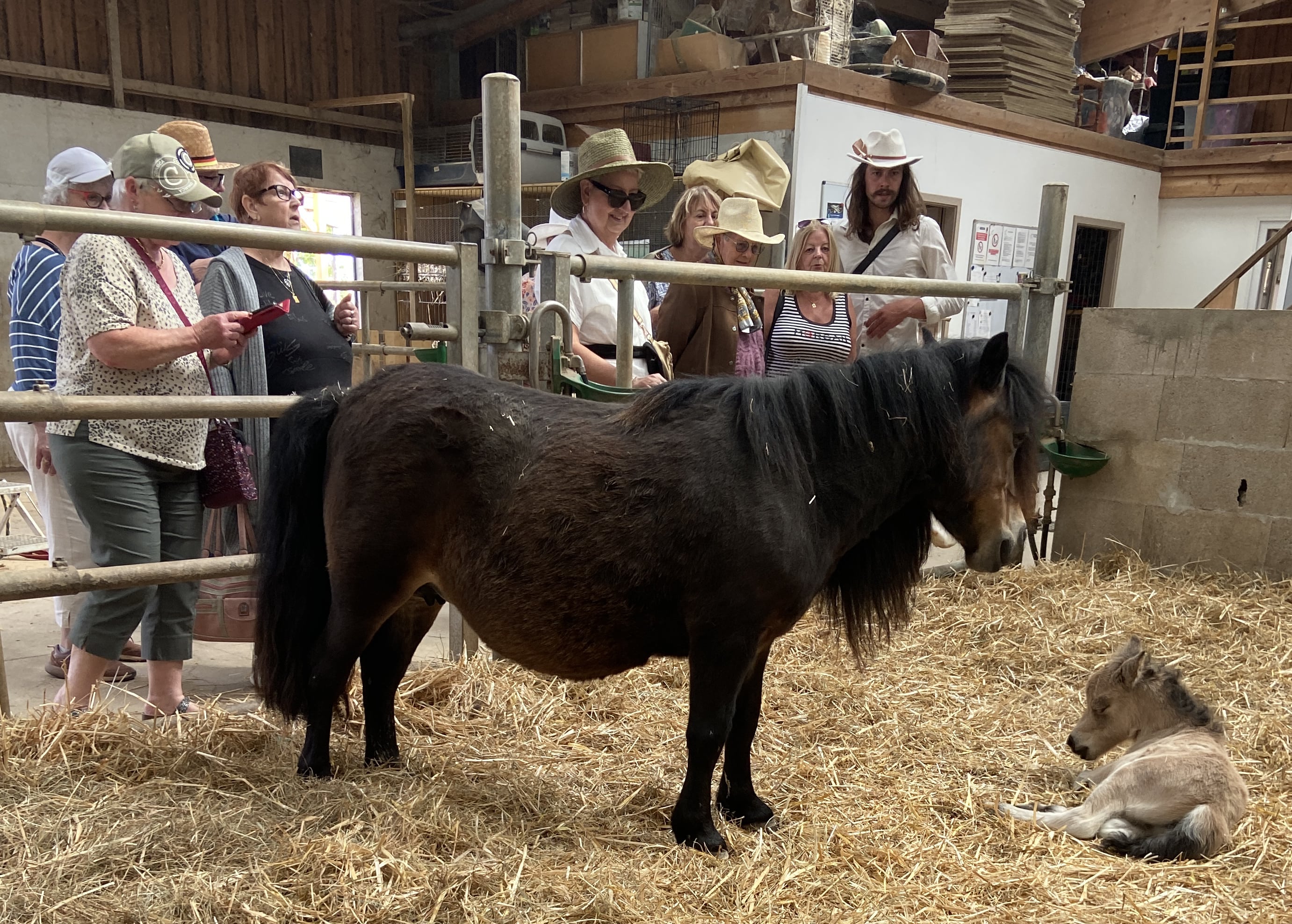 2025 05 16 SENIORS9-min.jpg