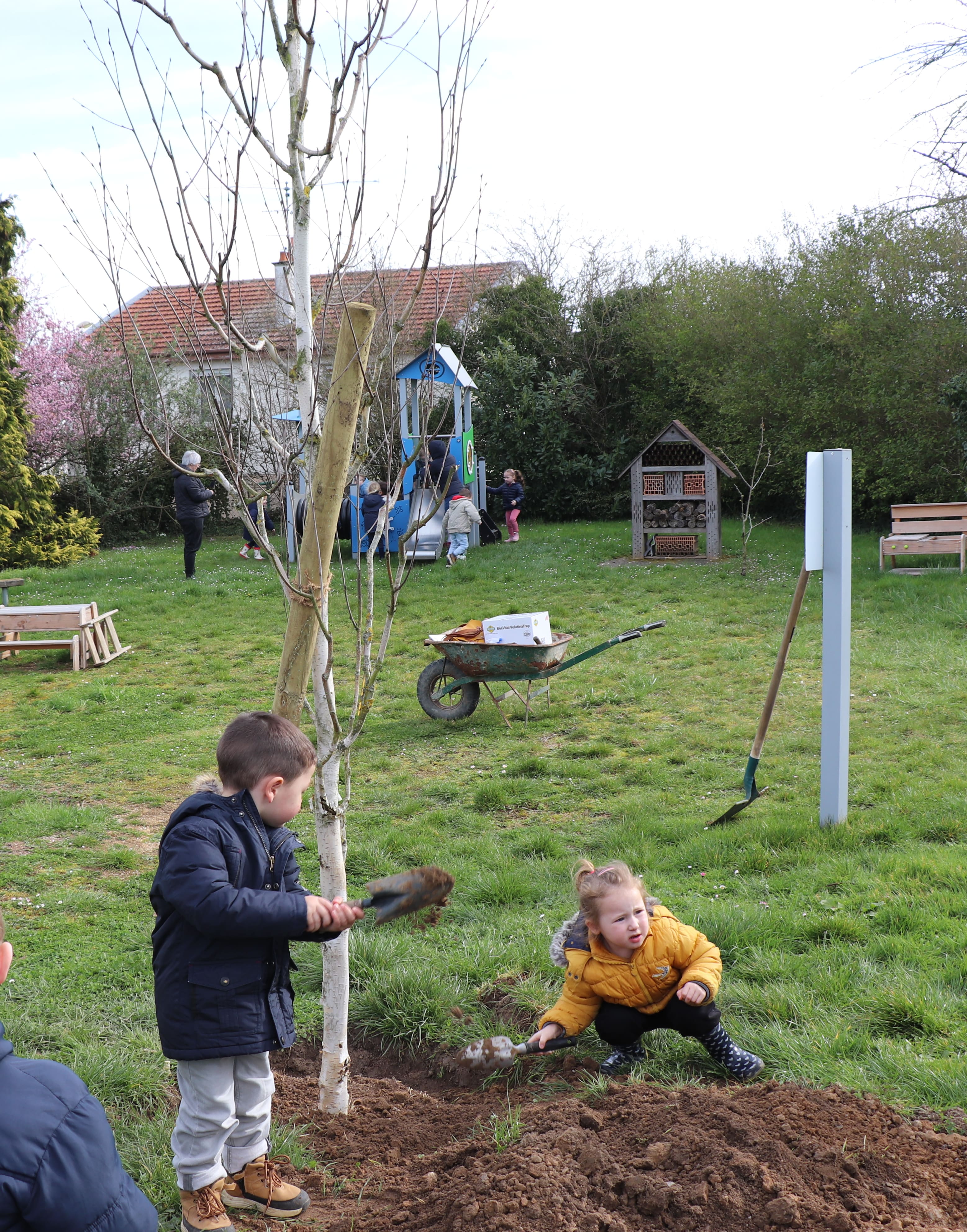 2026 03 19 arbres _3_.jpg