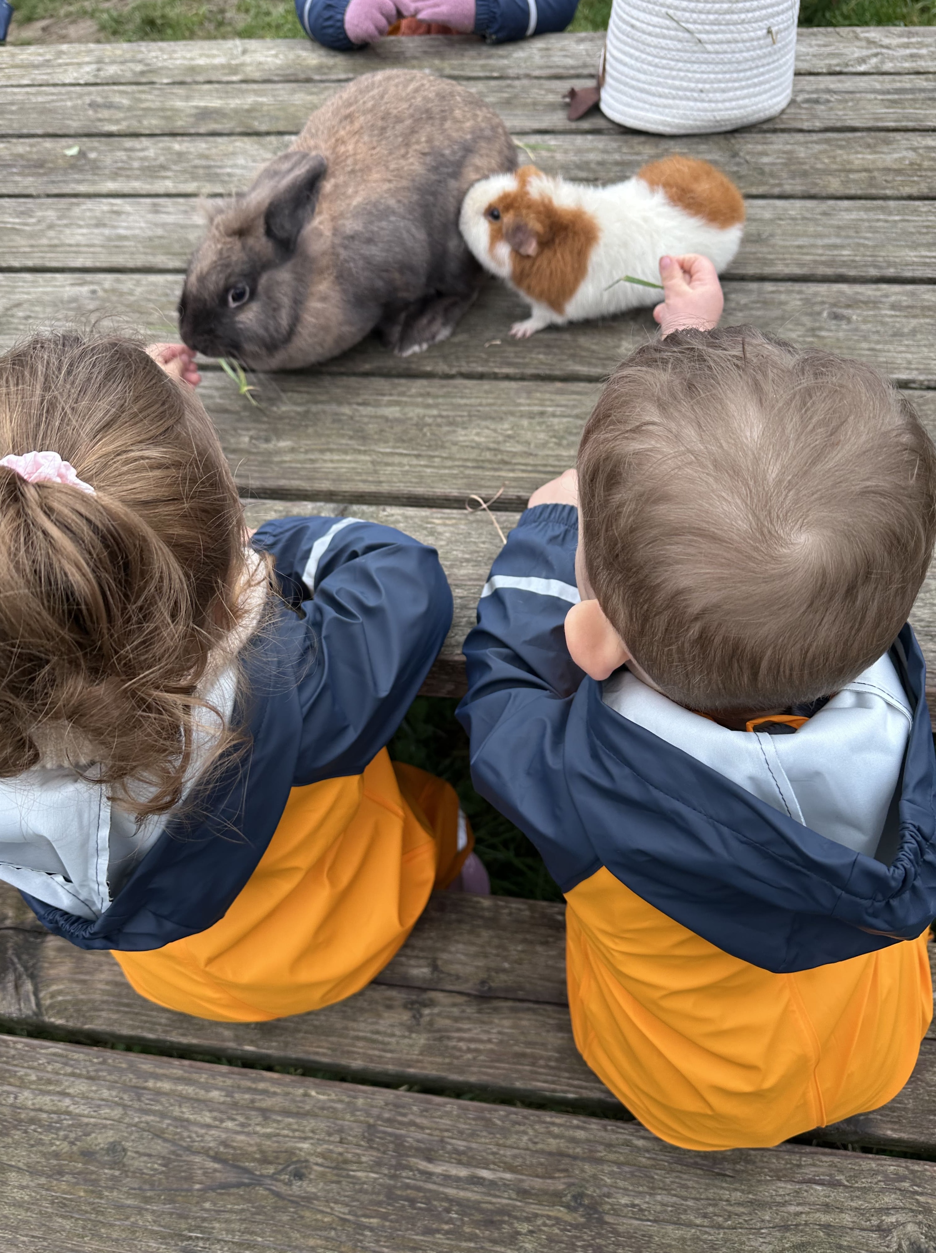 2025 12 12 passerelle _2_.jpg