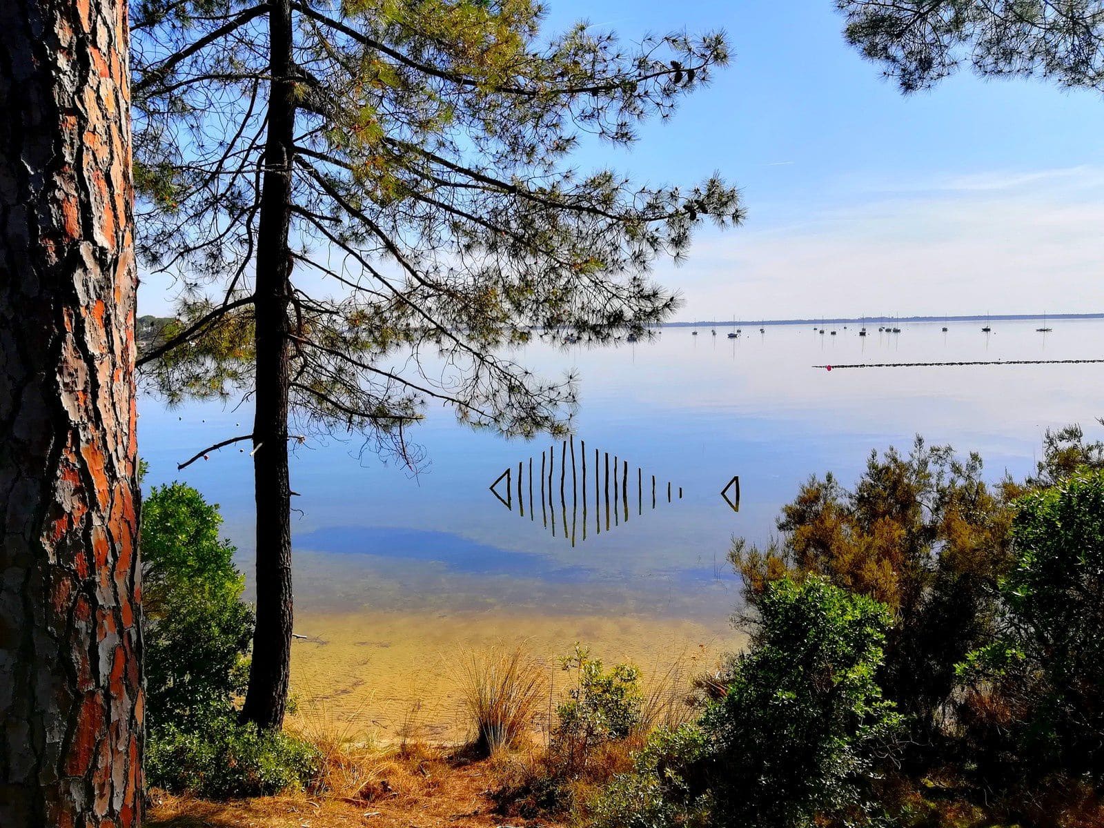 sentier-du-lac-carcans-maubuisson.jpg