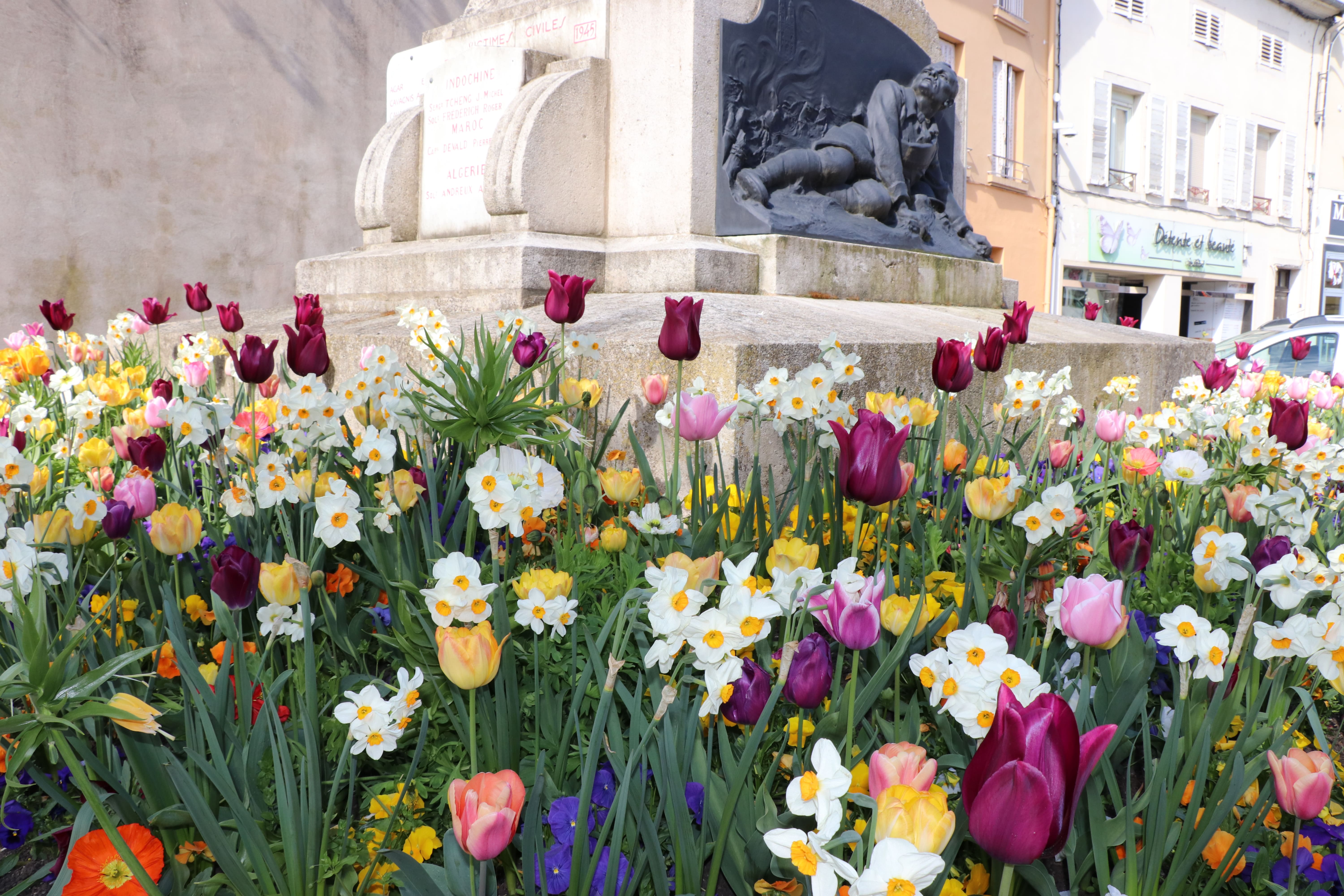 2026 04 23 fleurissement.jpg