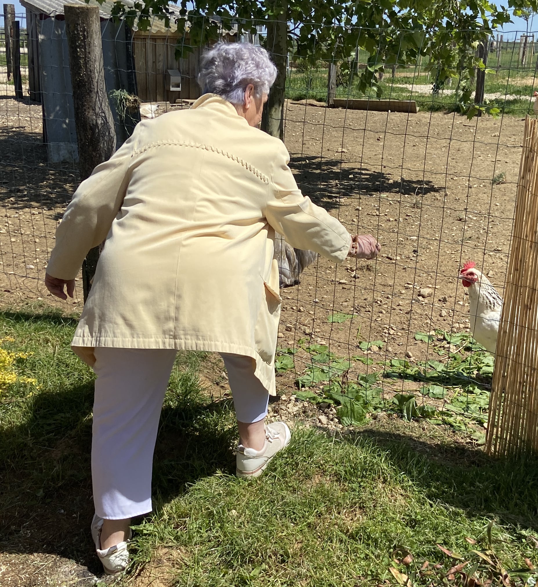 2025 05 16 SENIORS8-min.jpg