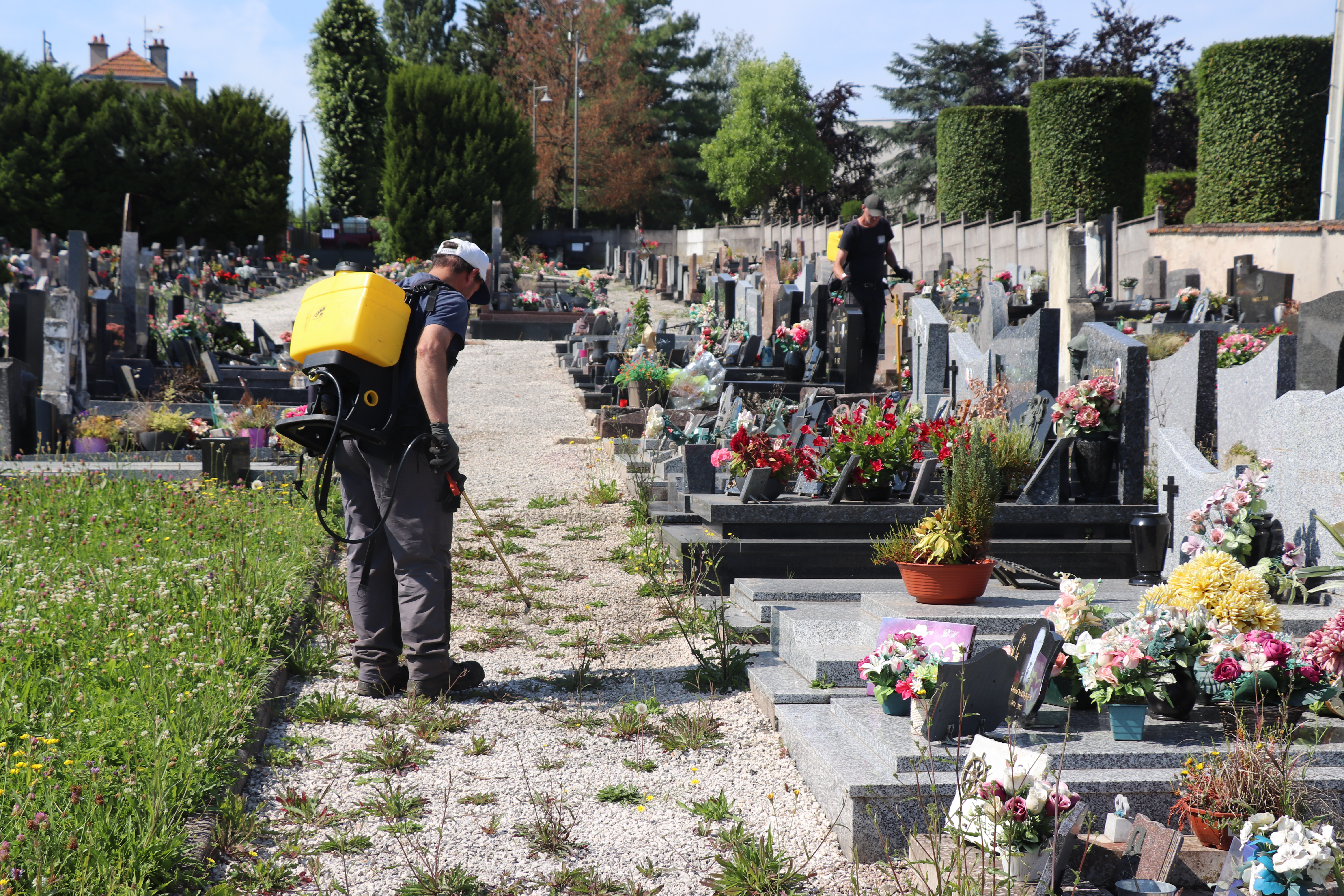 2024 07 16 CIMETIERE.jpg