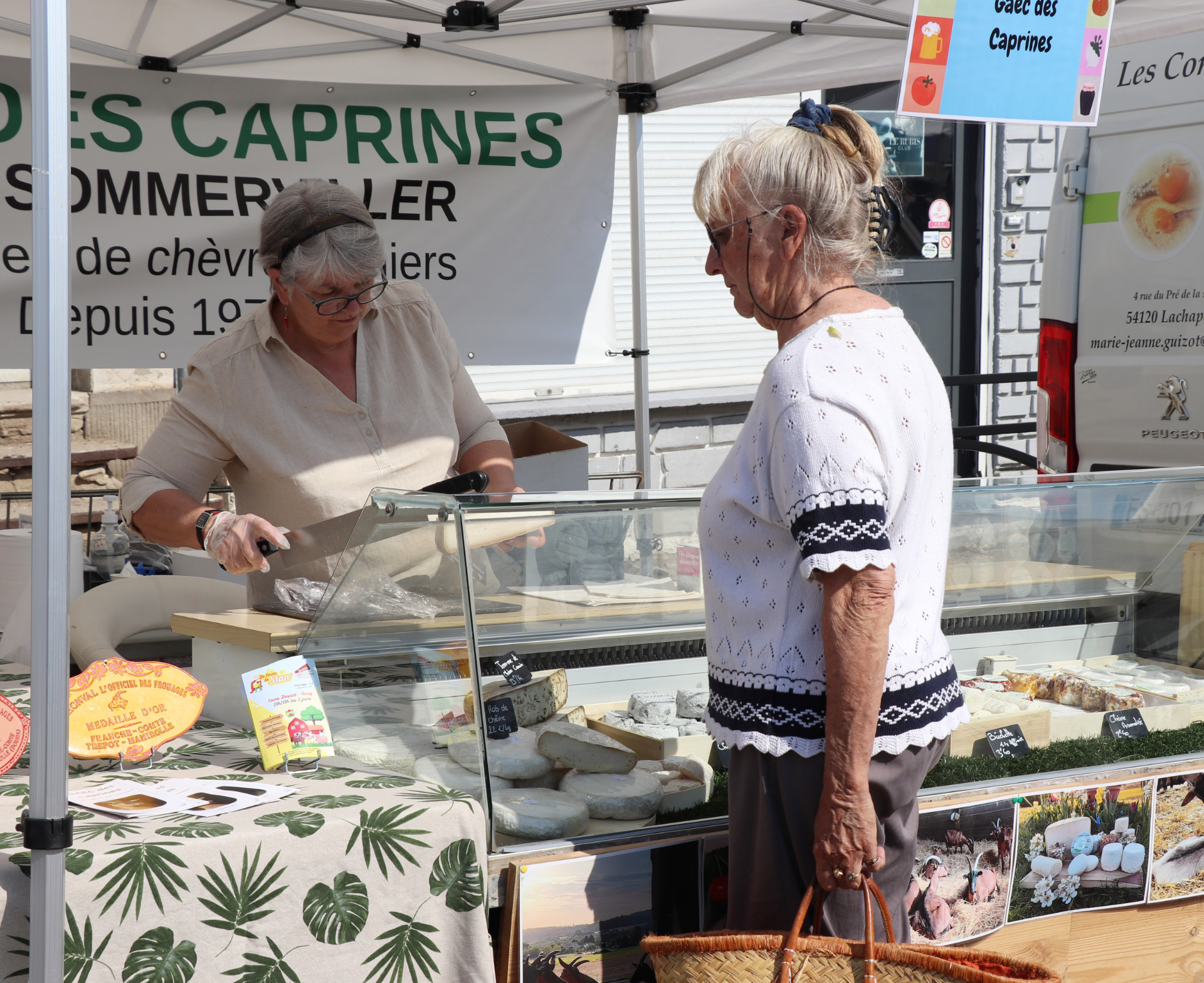 2023 06 10 MT BIS _9_.jpg