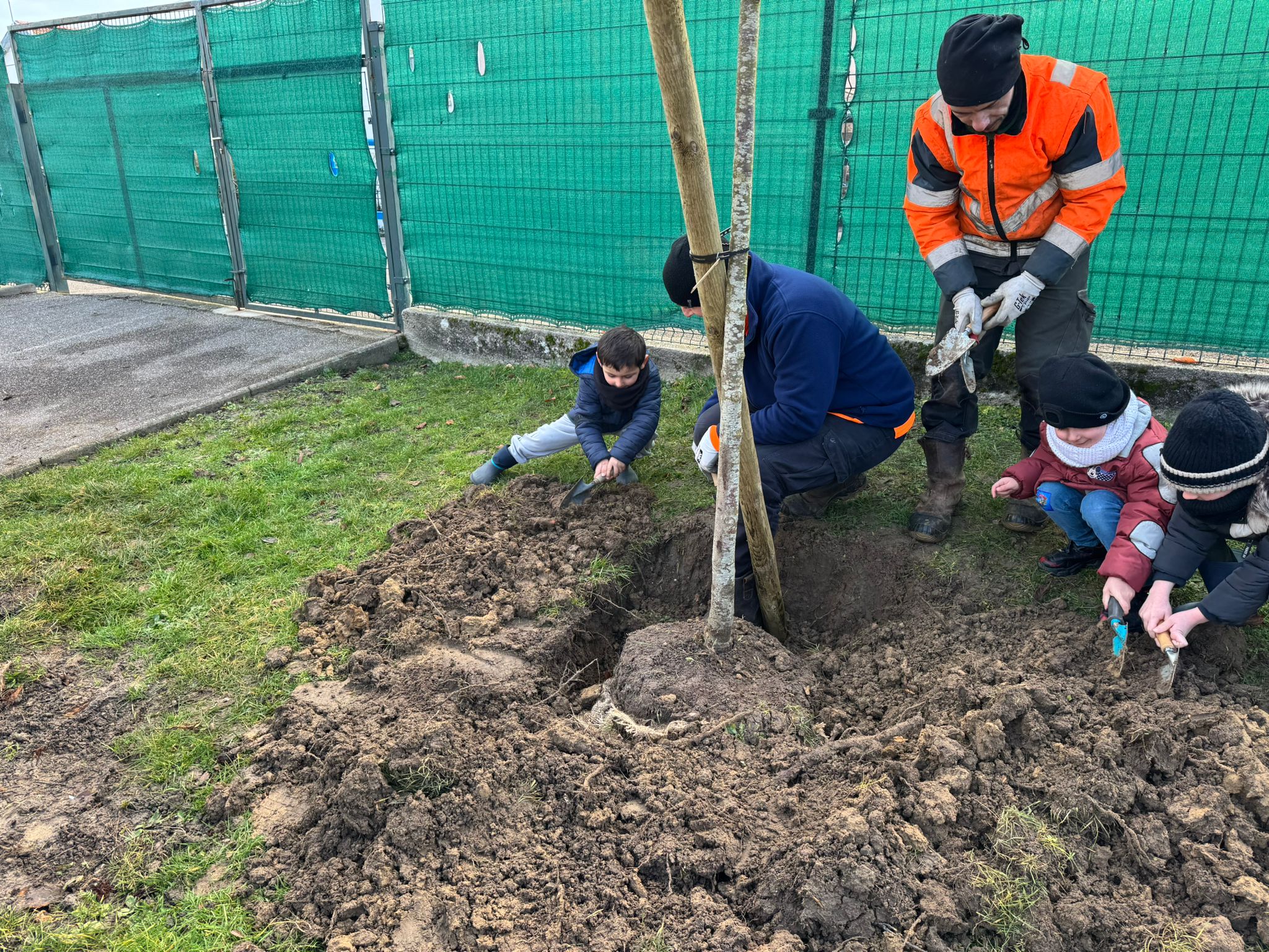 2026 02 06 ARBRE 2.jpg