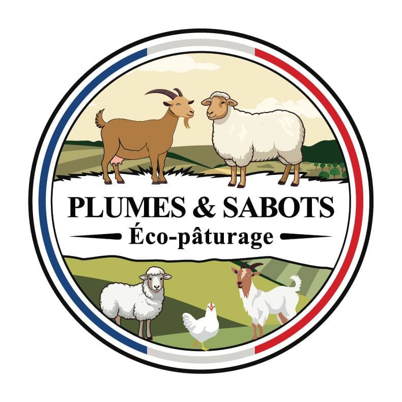 2025 11 20 mouton _3_.jpg