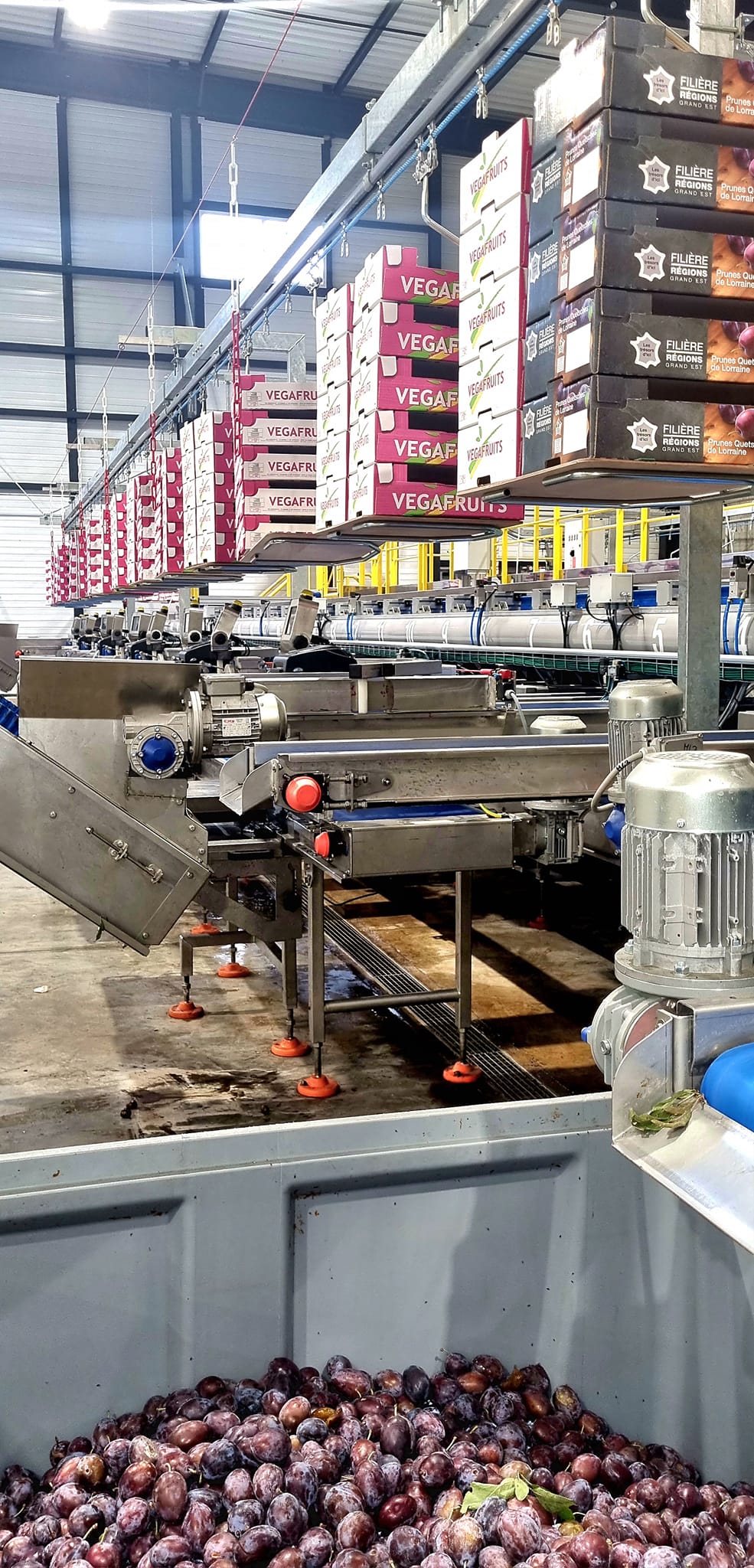 2023 09 01 Visite préfète _2_.jpg