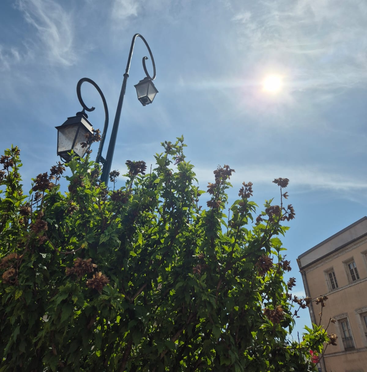 2025 06 20 soleil.jpg