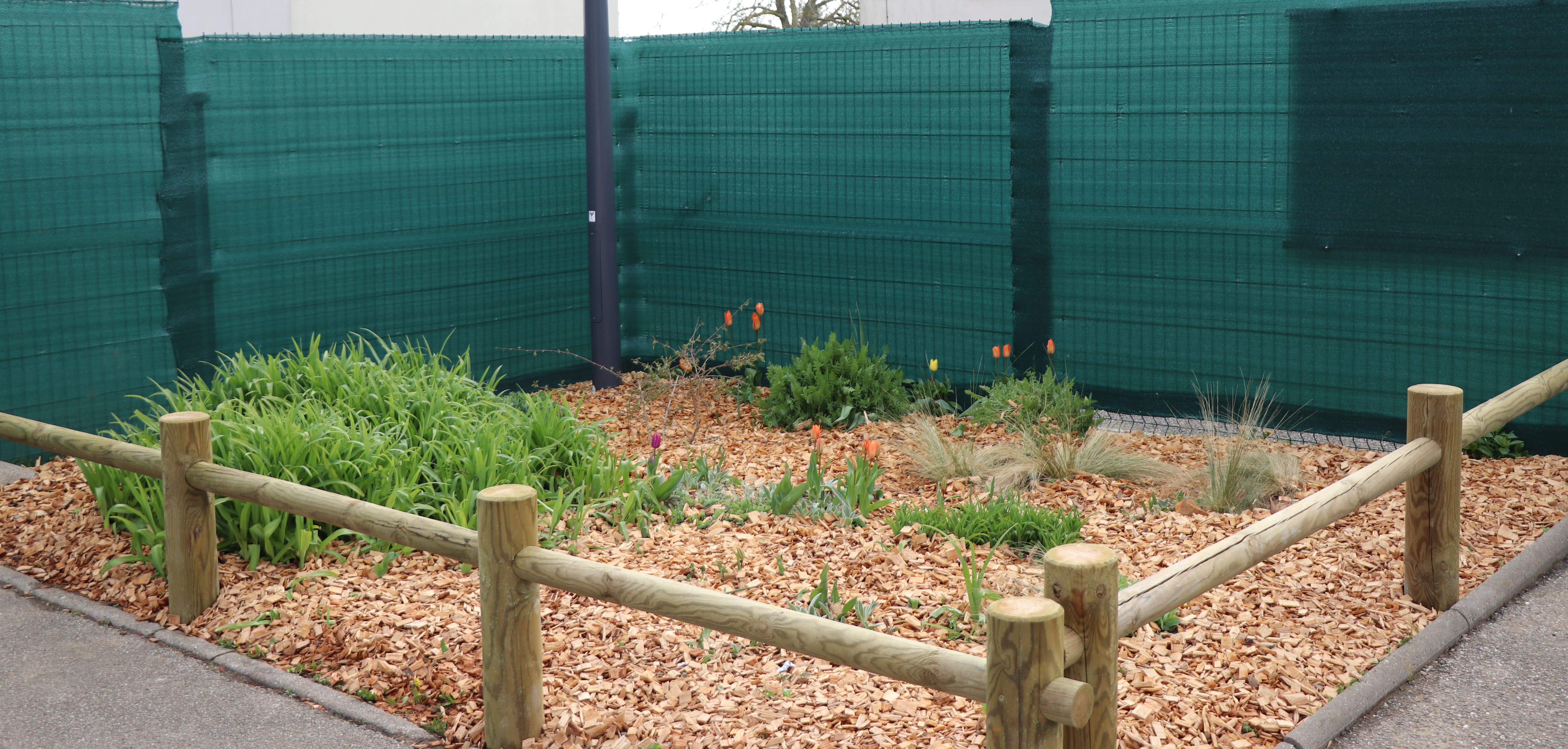 2026 04 02 talus.jpg