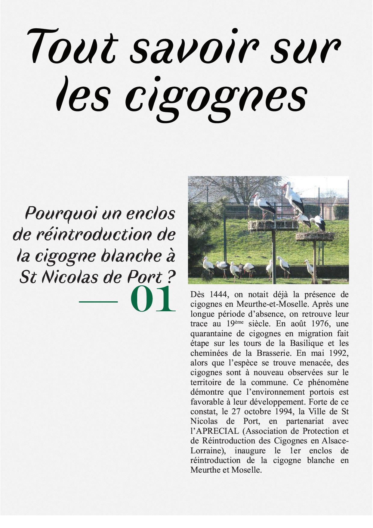 2022 05 24 cigognes 2.jpg