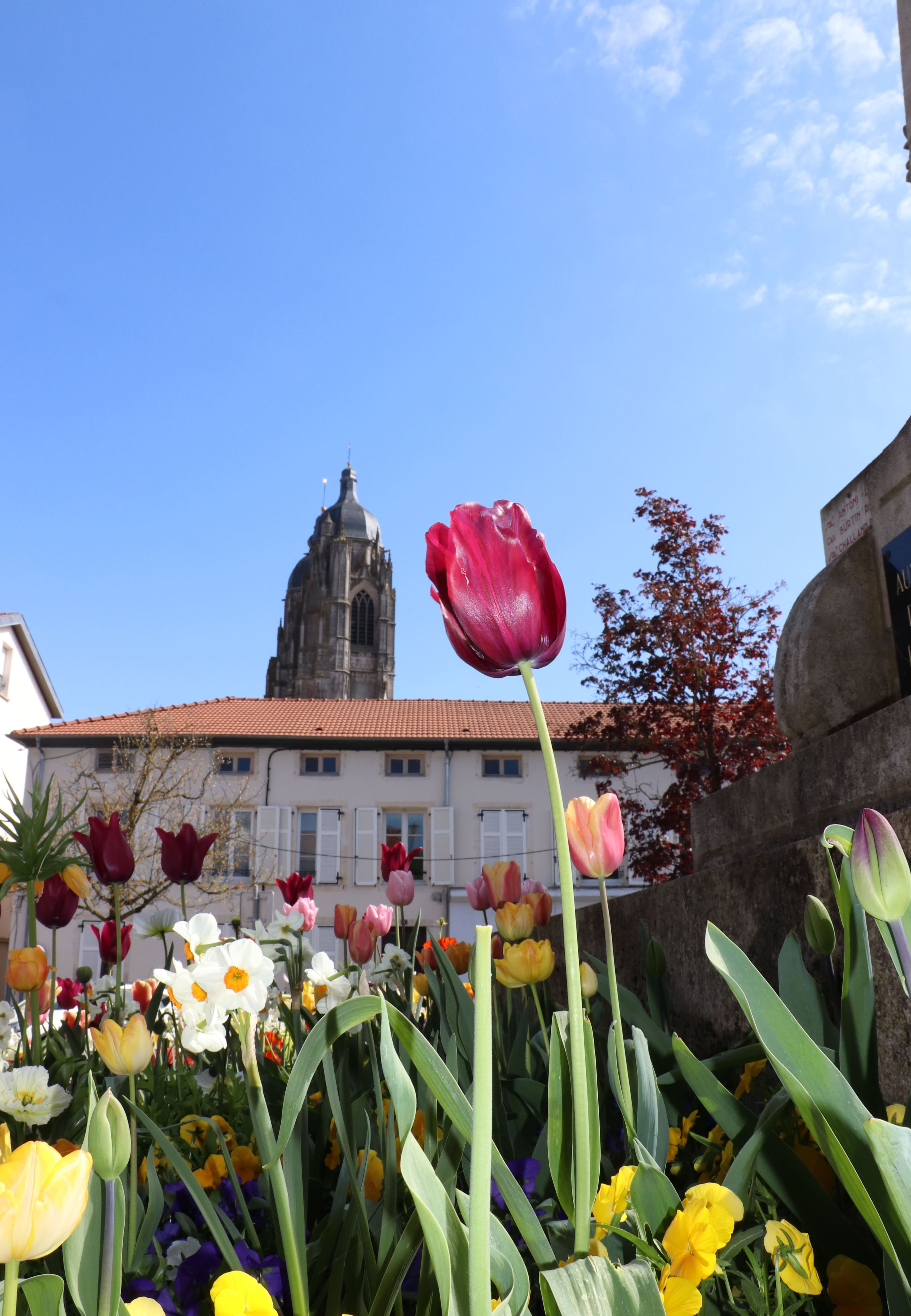 2026 04 23 fleurissement _2_.jpg