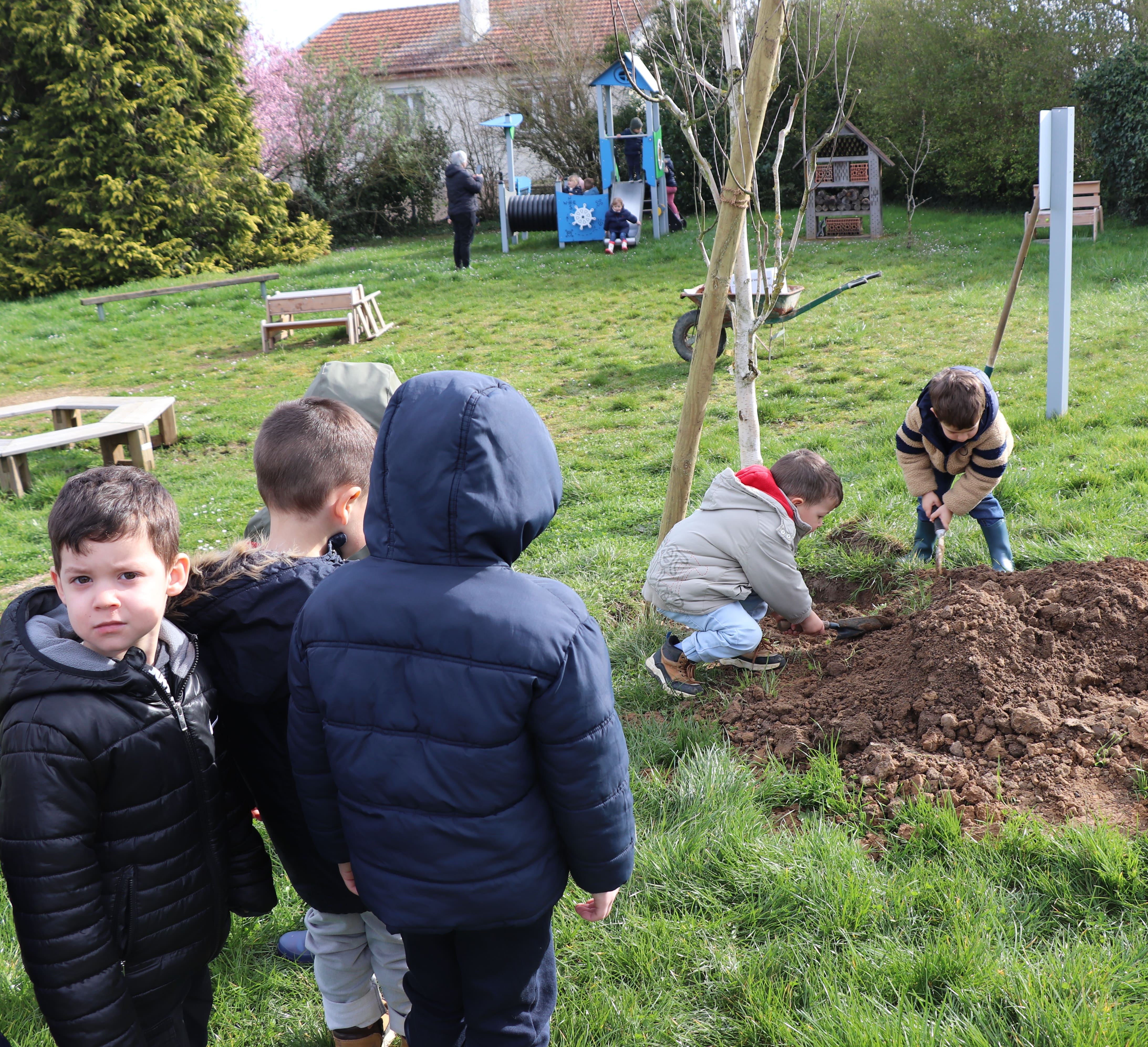 2026 03 19 arbres _2_.jpg