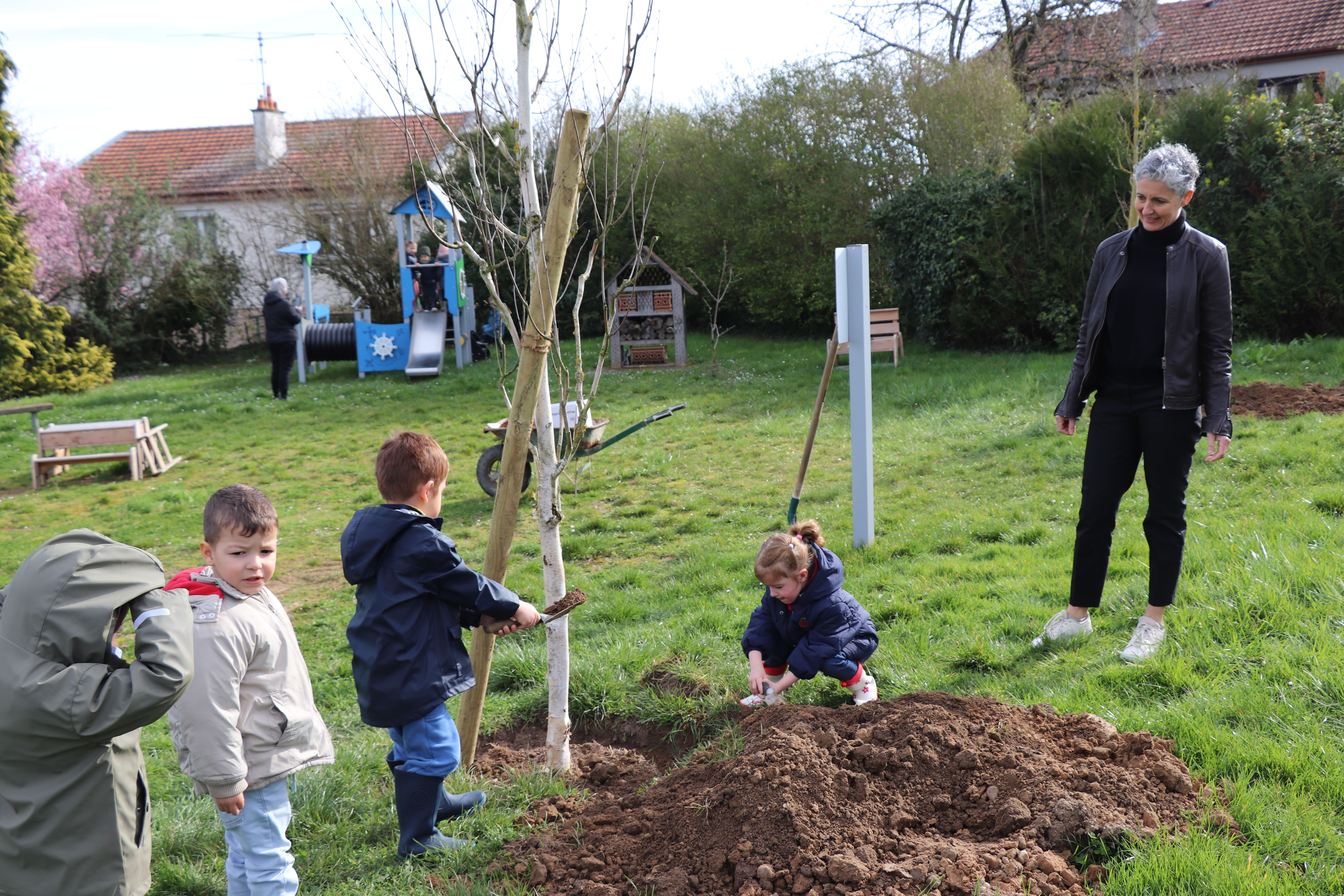 2026 03 19 arbres.jpg