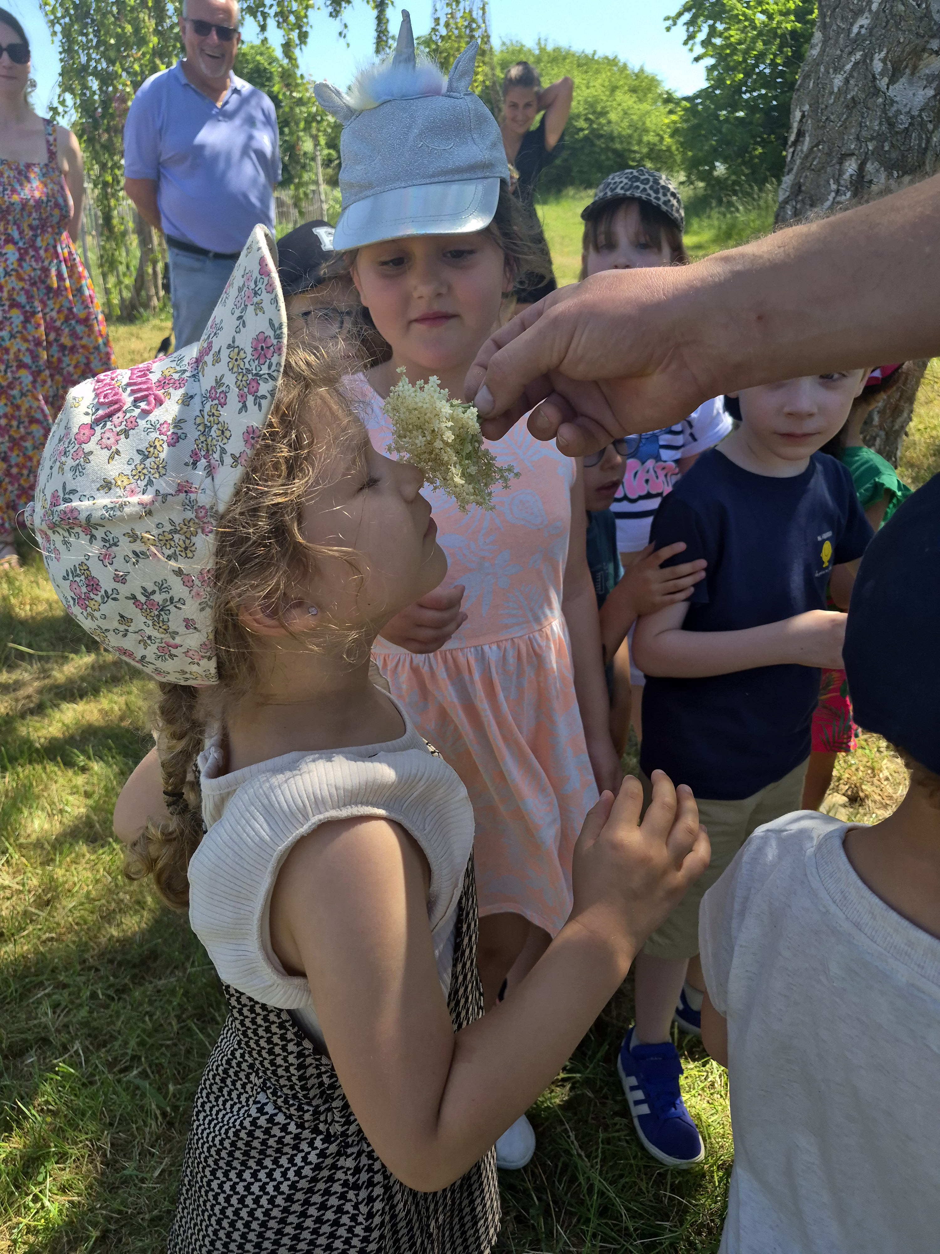 2026 05 28 At Part Arbo _4_.jpg