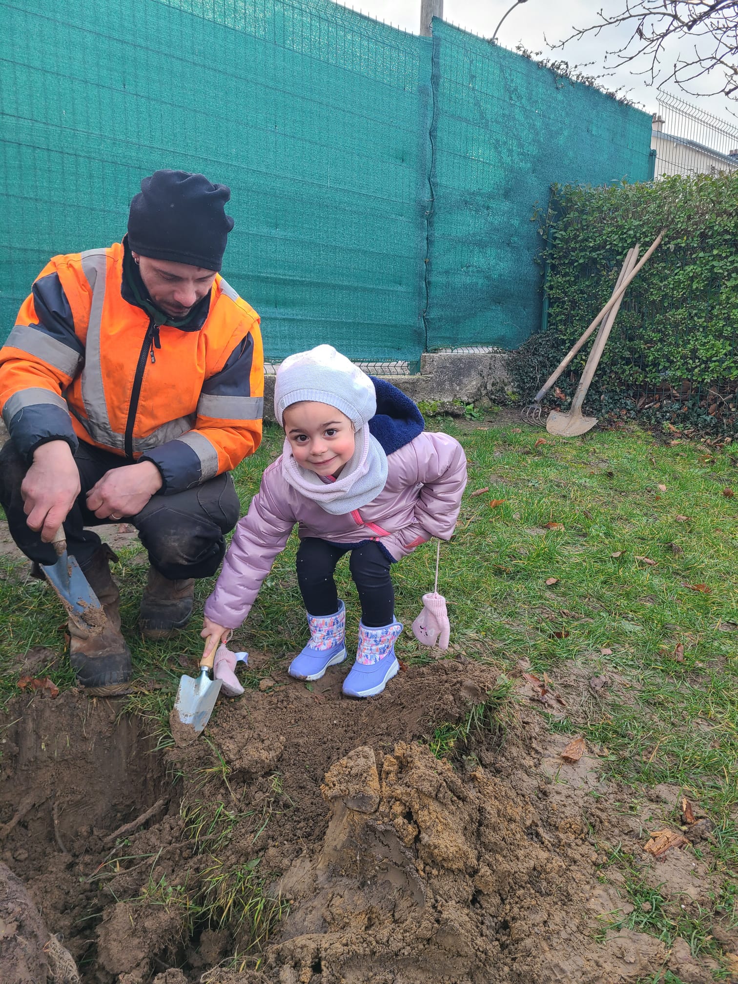 2025 02 06 ARBRE.jpg