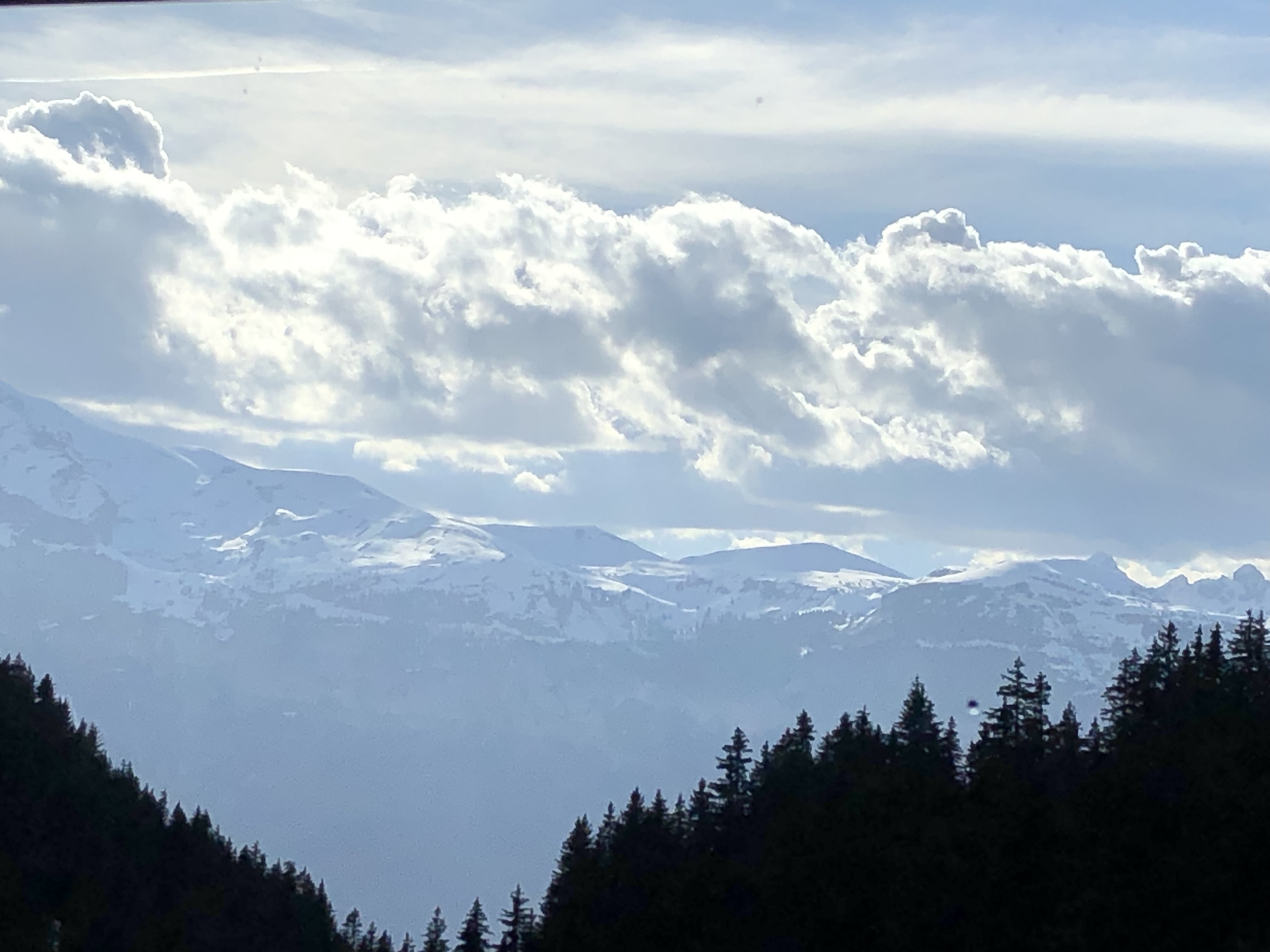 2024 03 28 Classe de neige PMC _5_.jpg