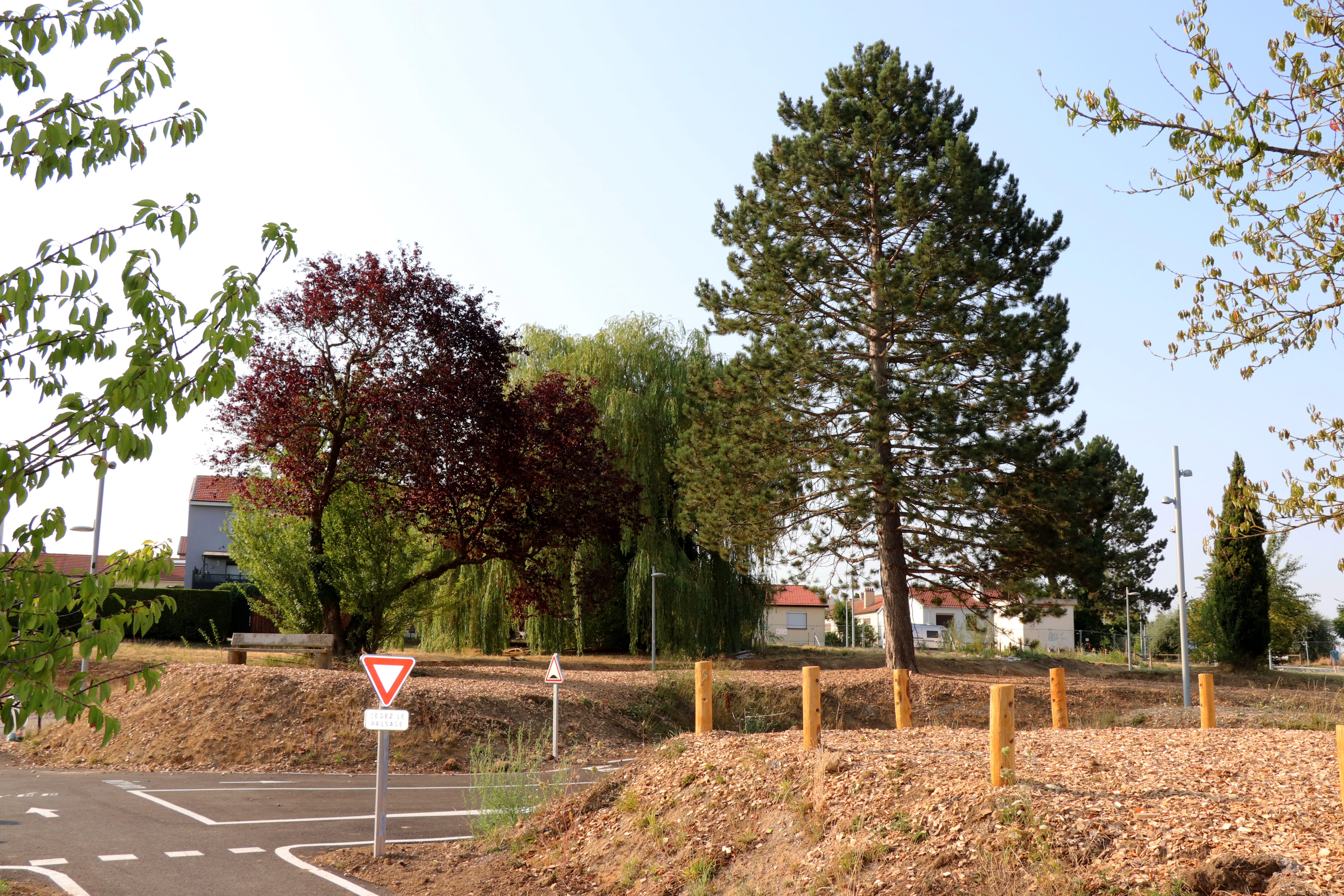 2026 07 30 ARBRES 8.jpg