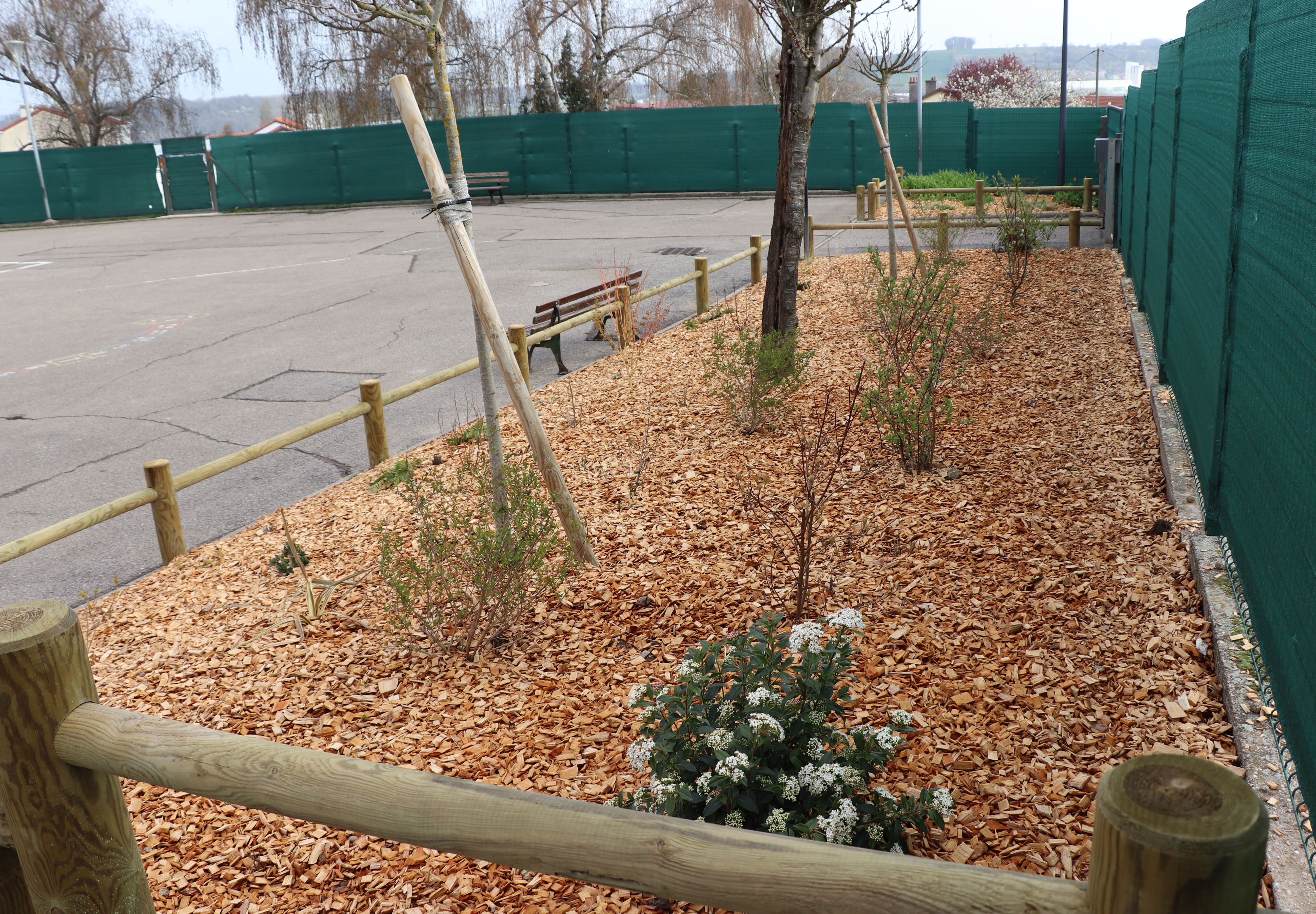 2026 04 02 talus _2_.jpg