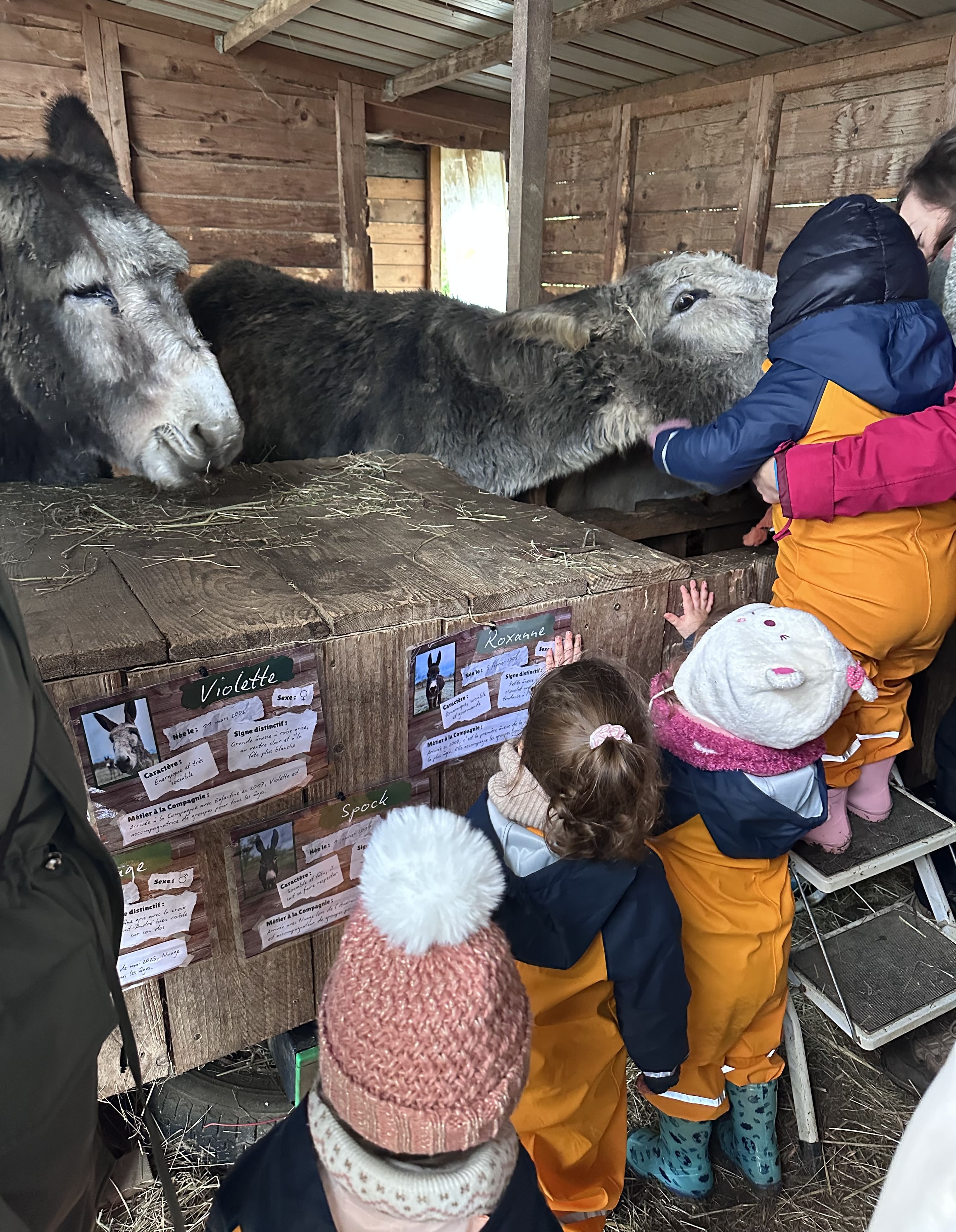 2025 12 12 passerelle _3_.jpg