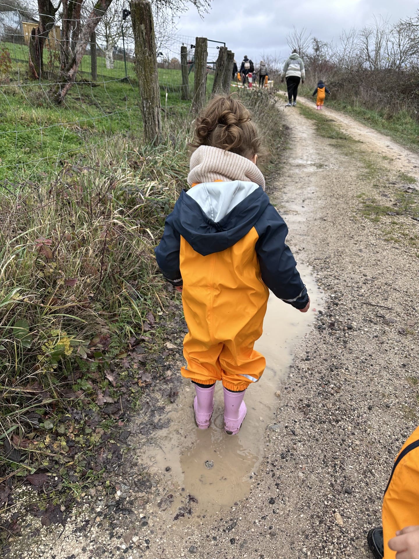 2025 12 12 passerelle.jpg