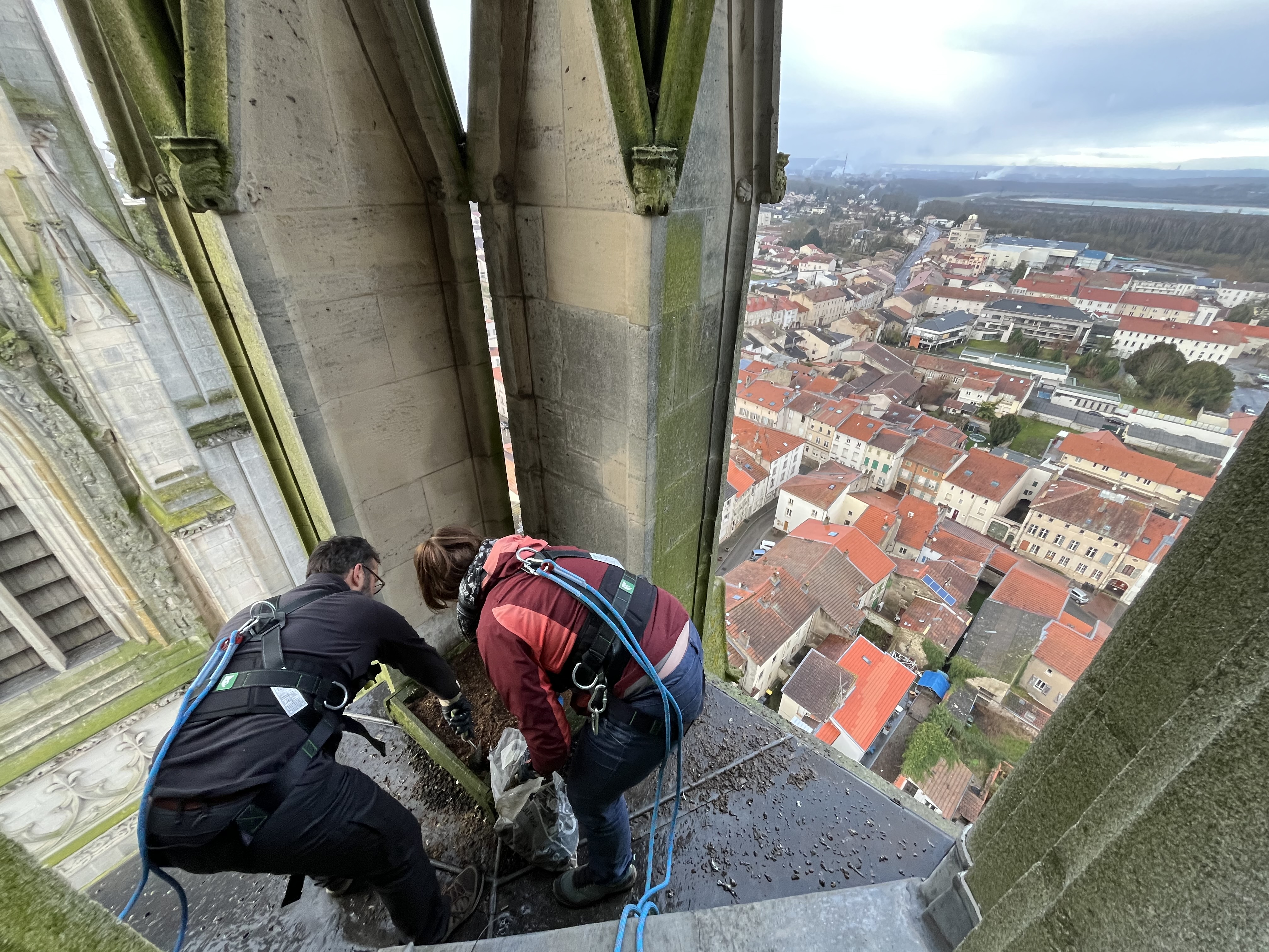 2026 02 06 faucon 2.jpg