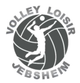 Logo Volley.JPG