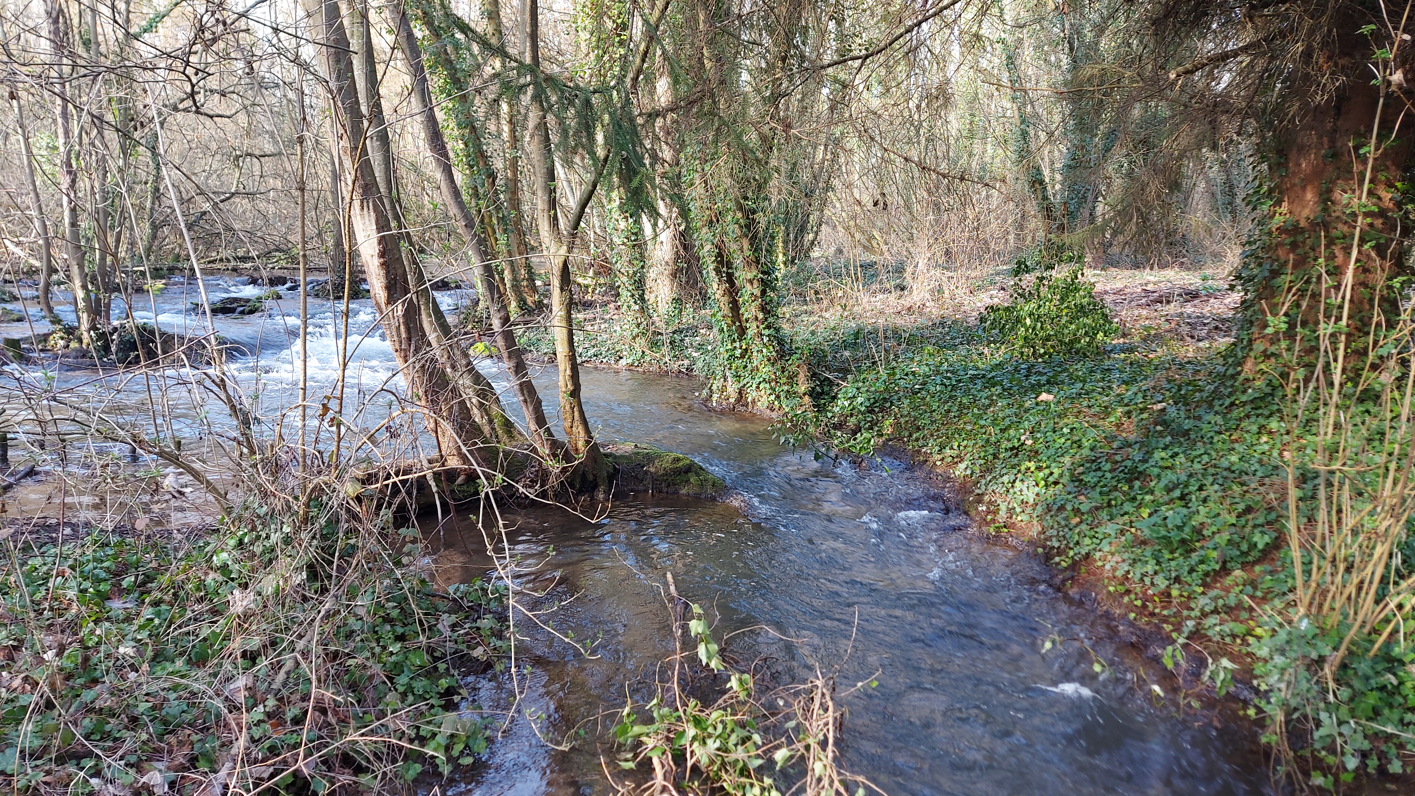 Brèche mars 2023.jpg