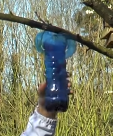 Nid de frelons : c’est le moment de piéger !