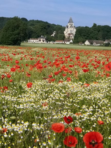 Vue sur église avec coquelicots 2021.jpg