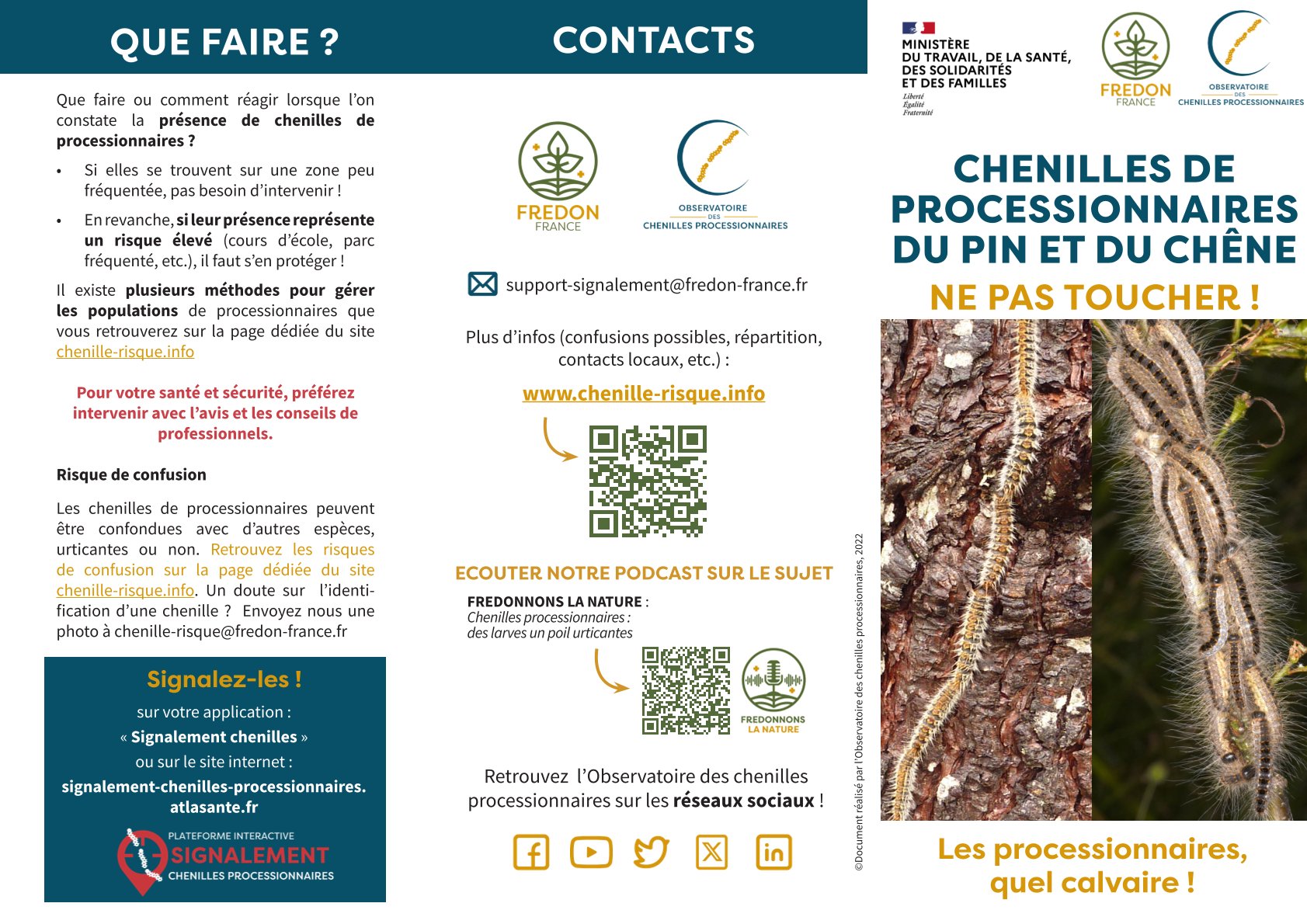 CHENILLES PROCESSIONNAIRES DU PIN ET DU CHENE PAGE1.jpg