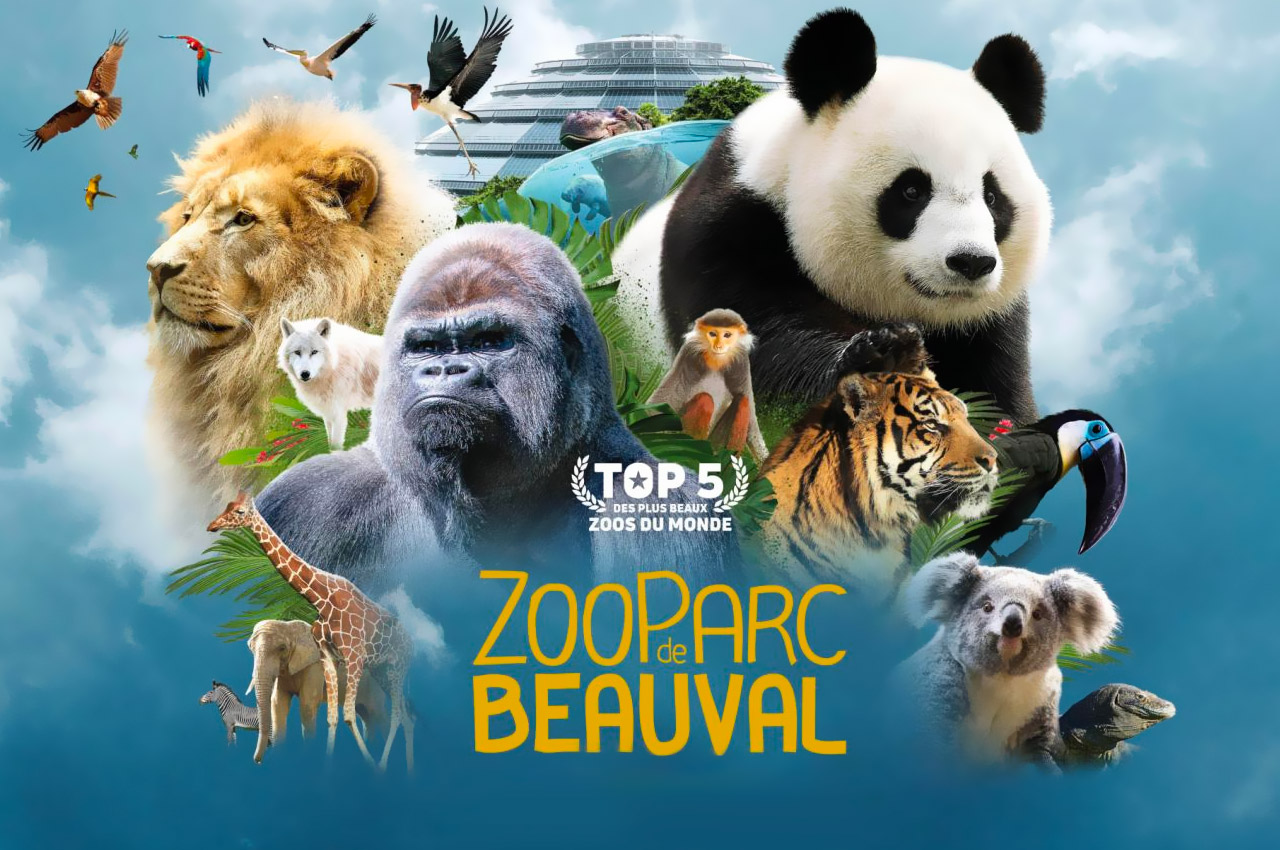 zoo-de-beauval.jpg