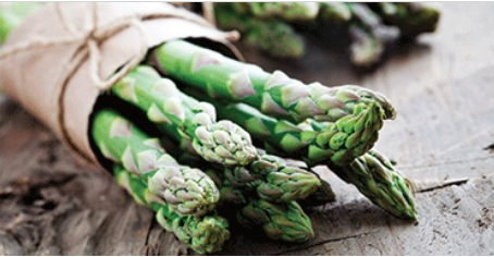 Angier asperges 2.PNG