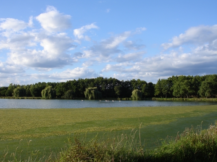dsc02206.jpg