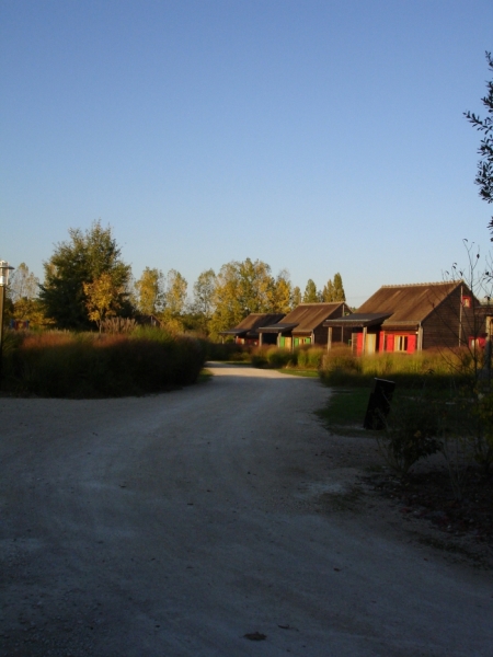 dsc03016.jpg