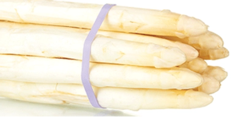 Angier asperges.PNG