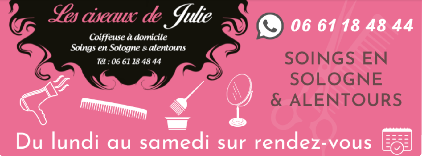 Les ciseaux de Julie.PNG