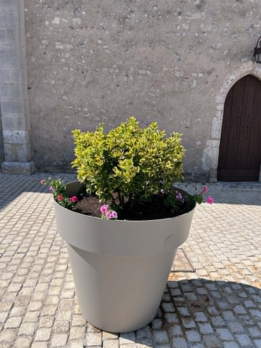 Photo pot de fleur devant église.jpg