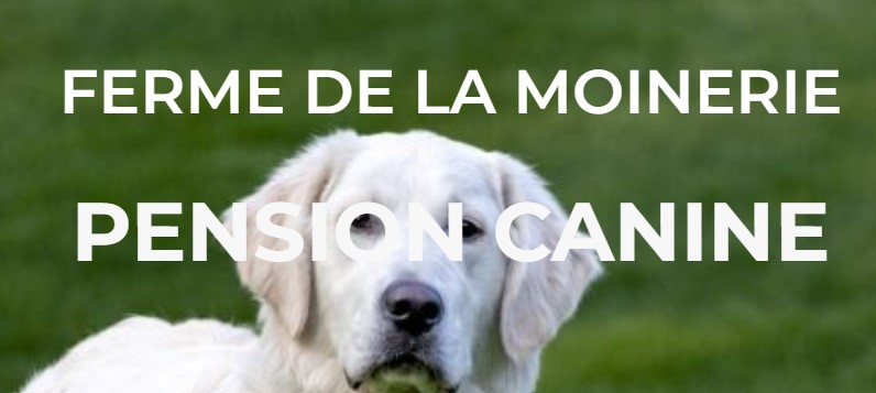 moinerie.jpg