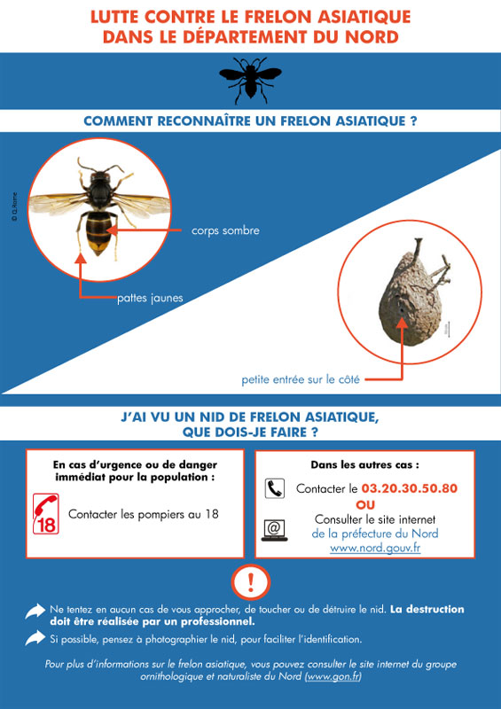 Frelon _1_.jpg